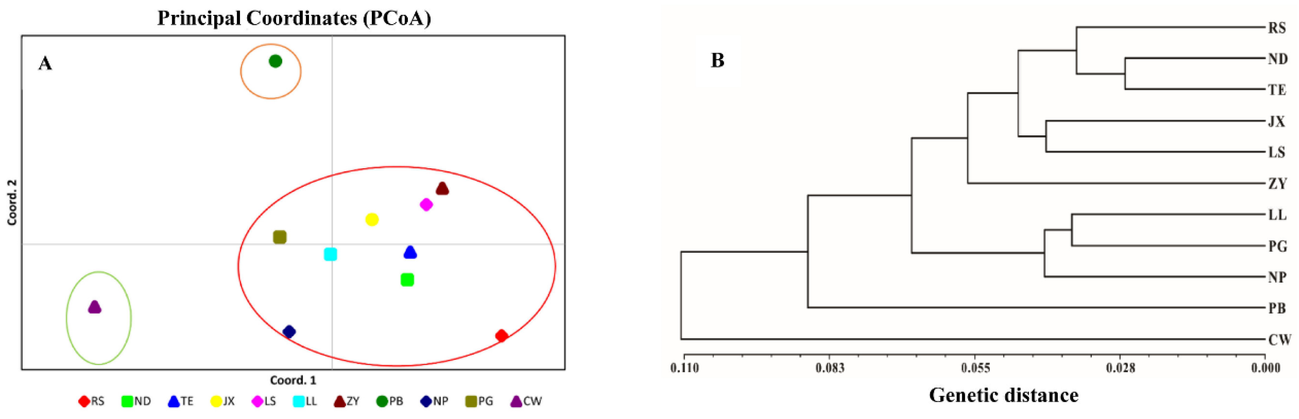 Forests 14 00340 g004 550