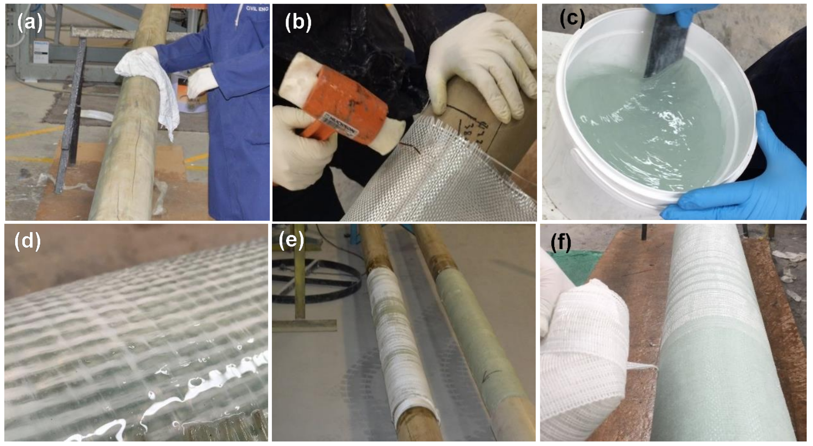 Forests 14 00343 g001 Forests 14 00343 g001