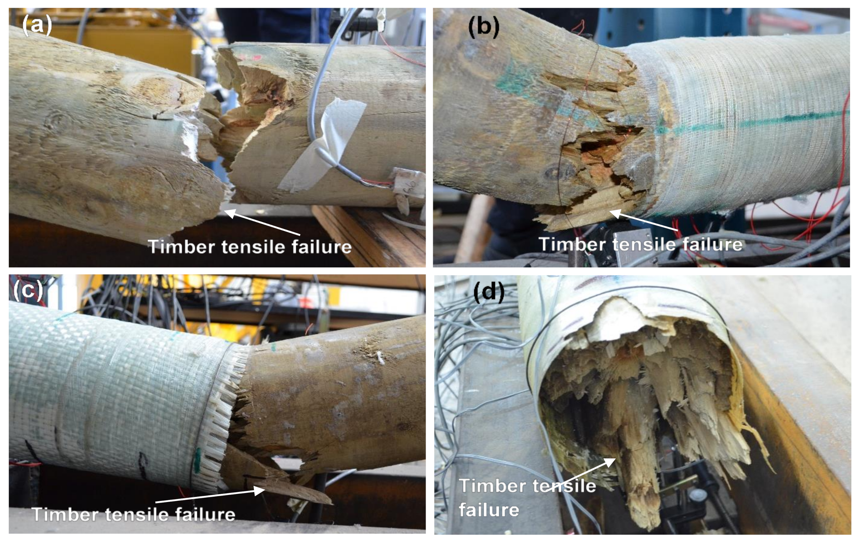 Forests 14 00343 g005 Forests 14 00343 g005