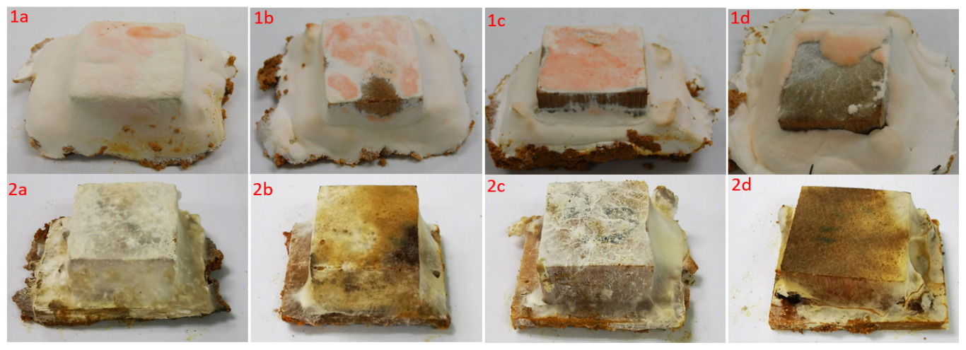 Forests 14 00350 g004 Forests 14 00350 g004