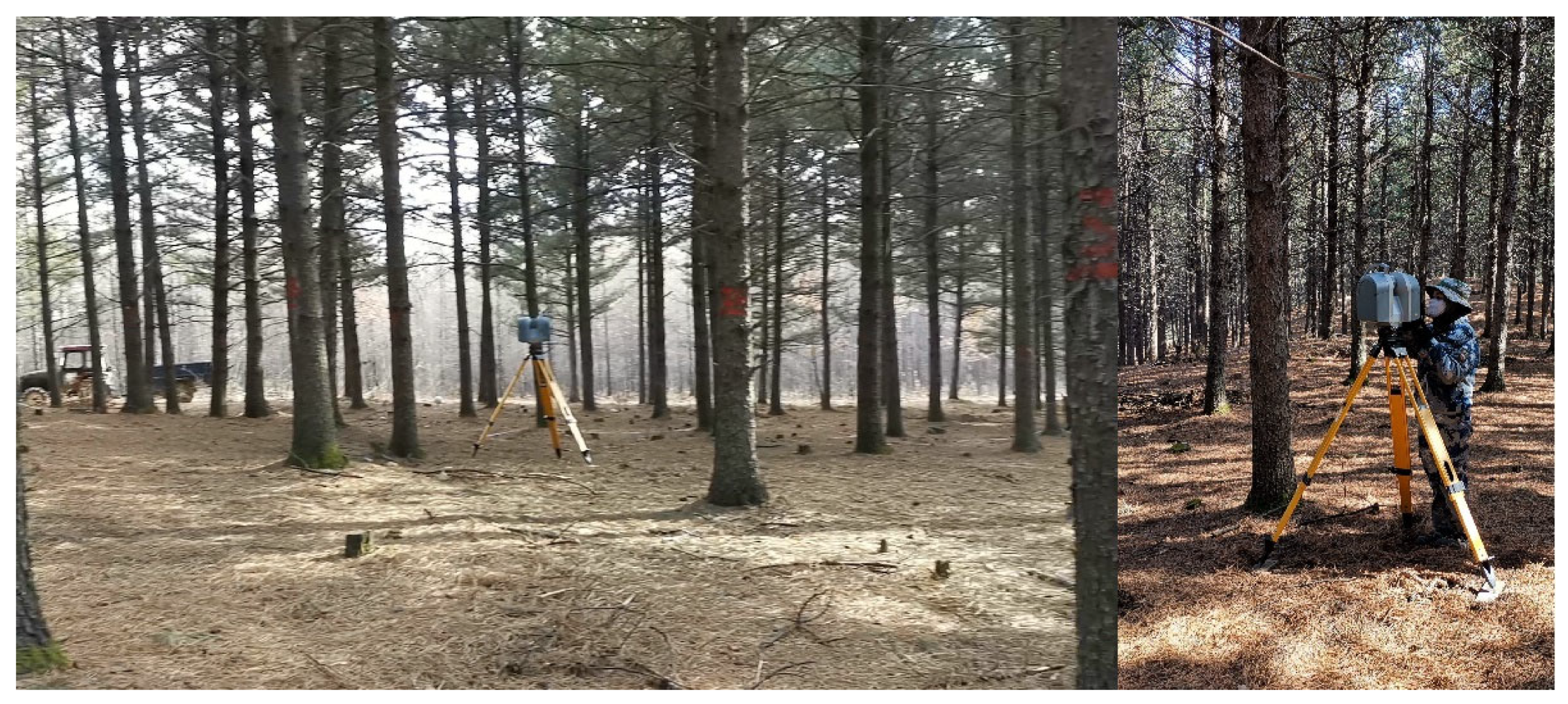 Forests 14 00351 g002 550