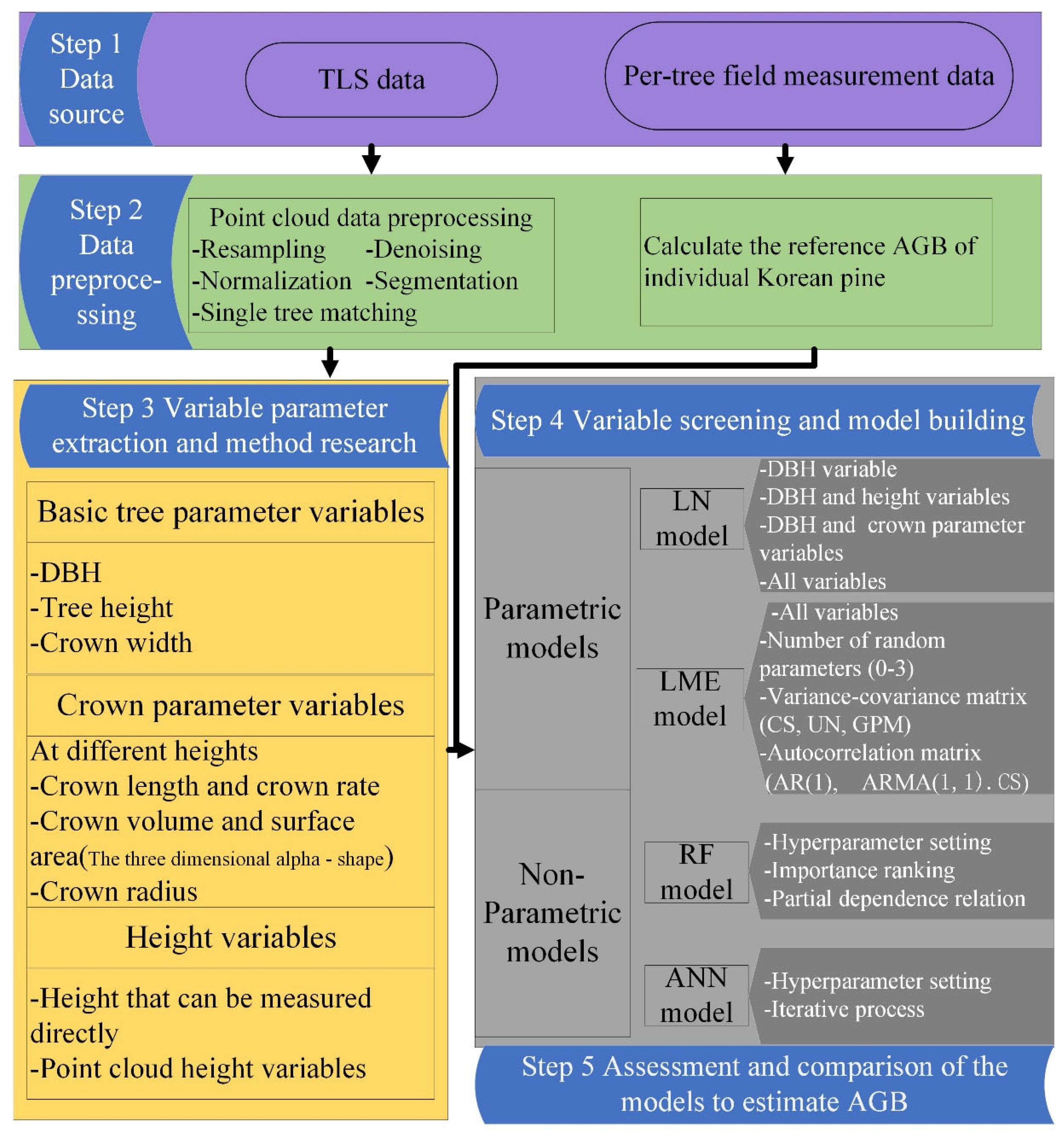 Forests 14 00351 g003 550