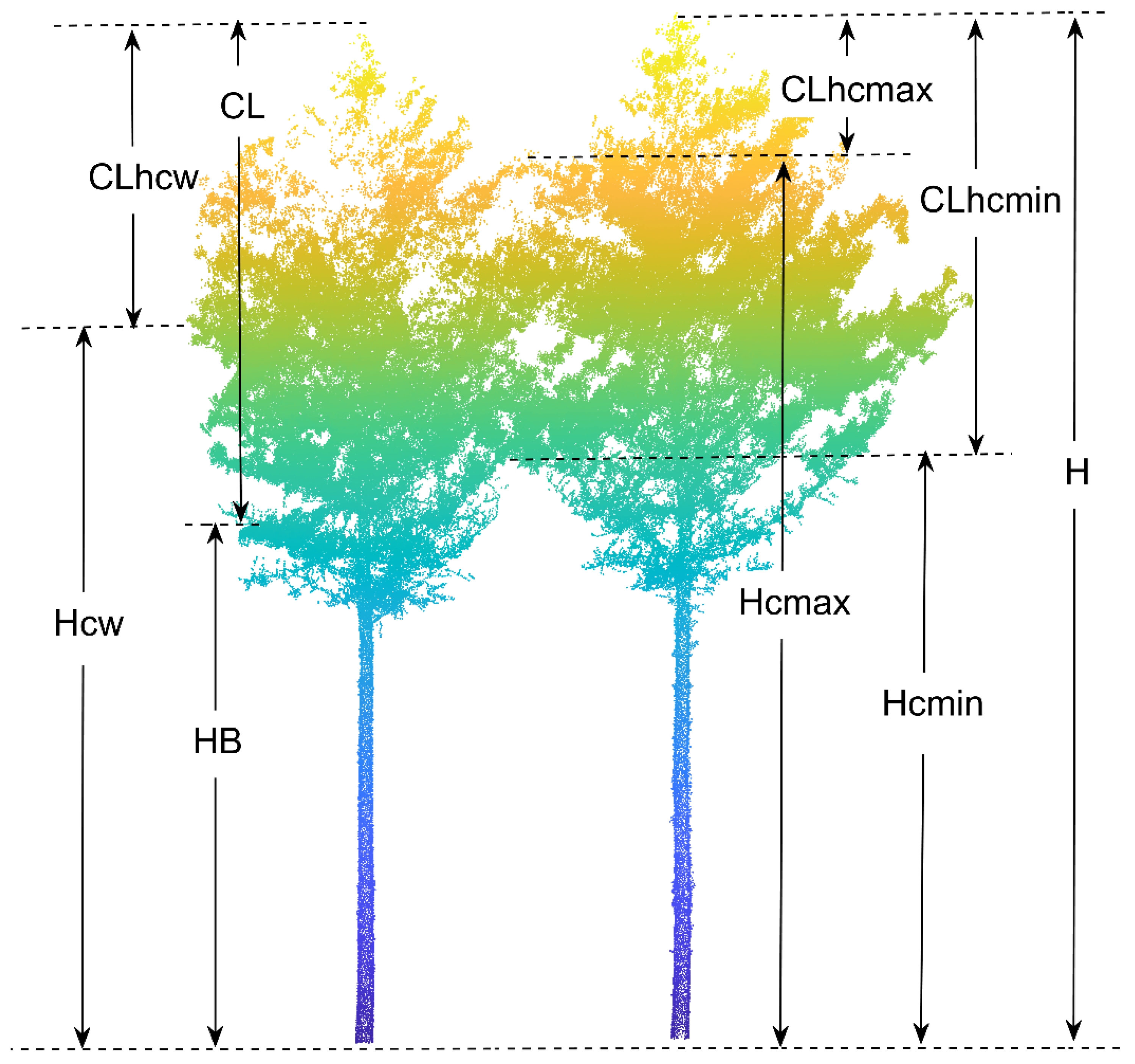Forests 14 00351 g004 550