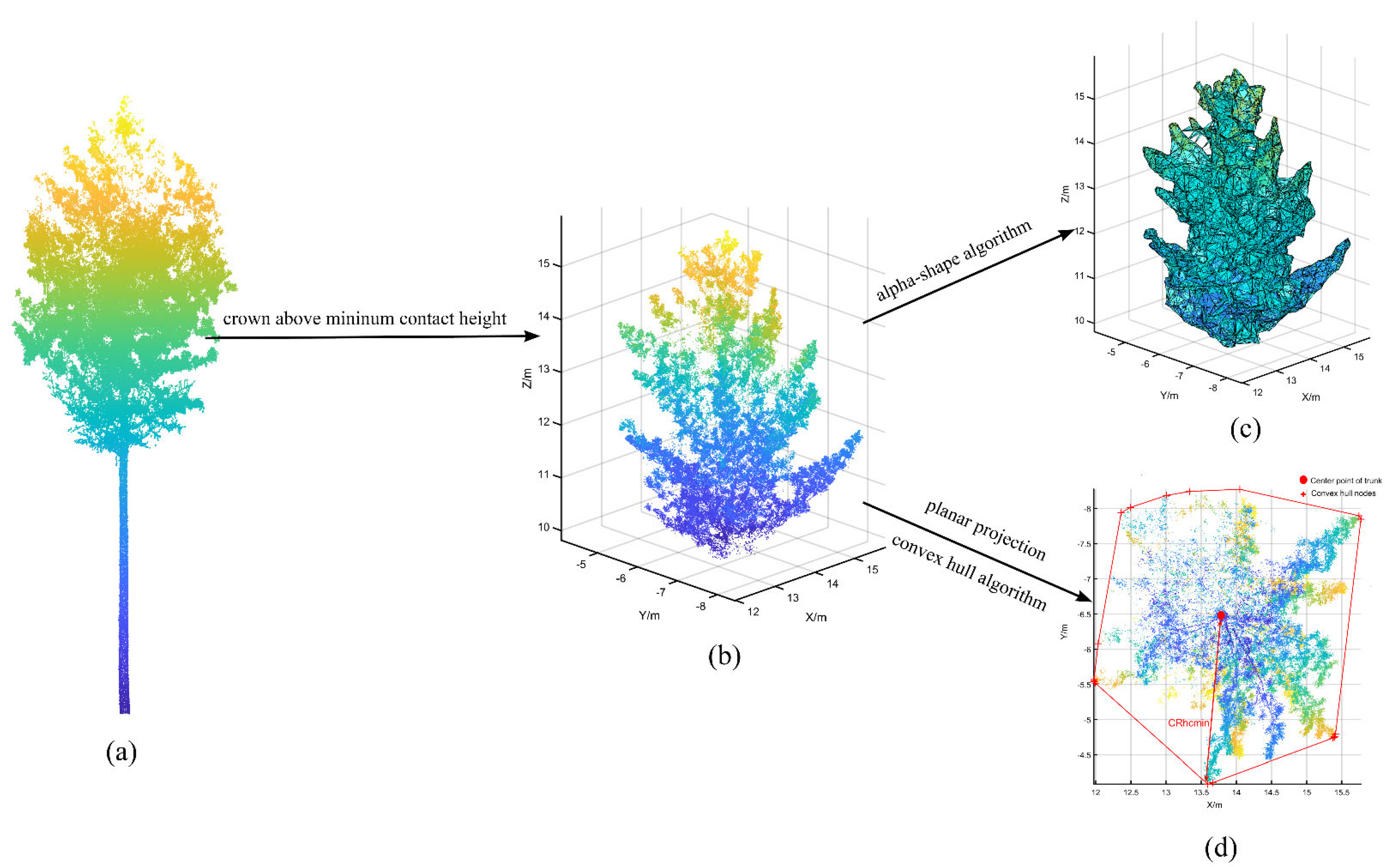 Forests 14 00351 g005 550