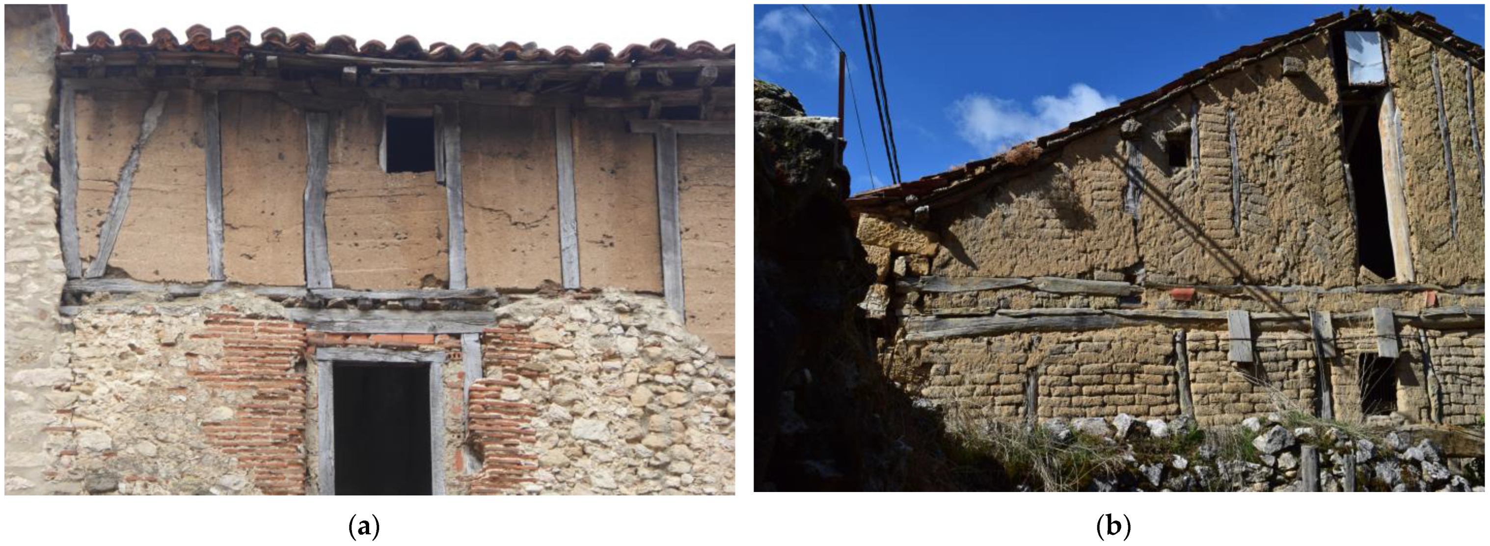 Forests 14 00352 g001