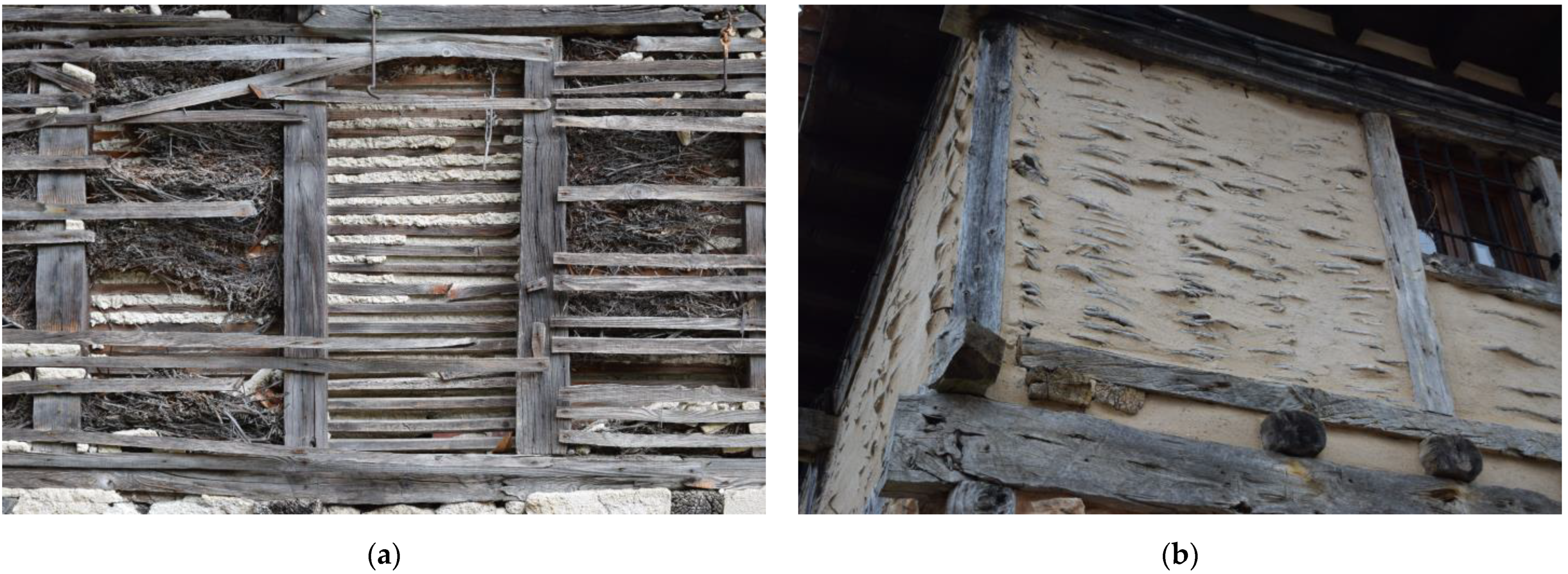 Forests 14 00352 g002