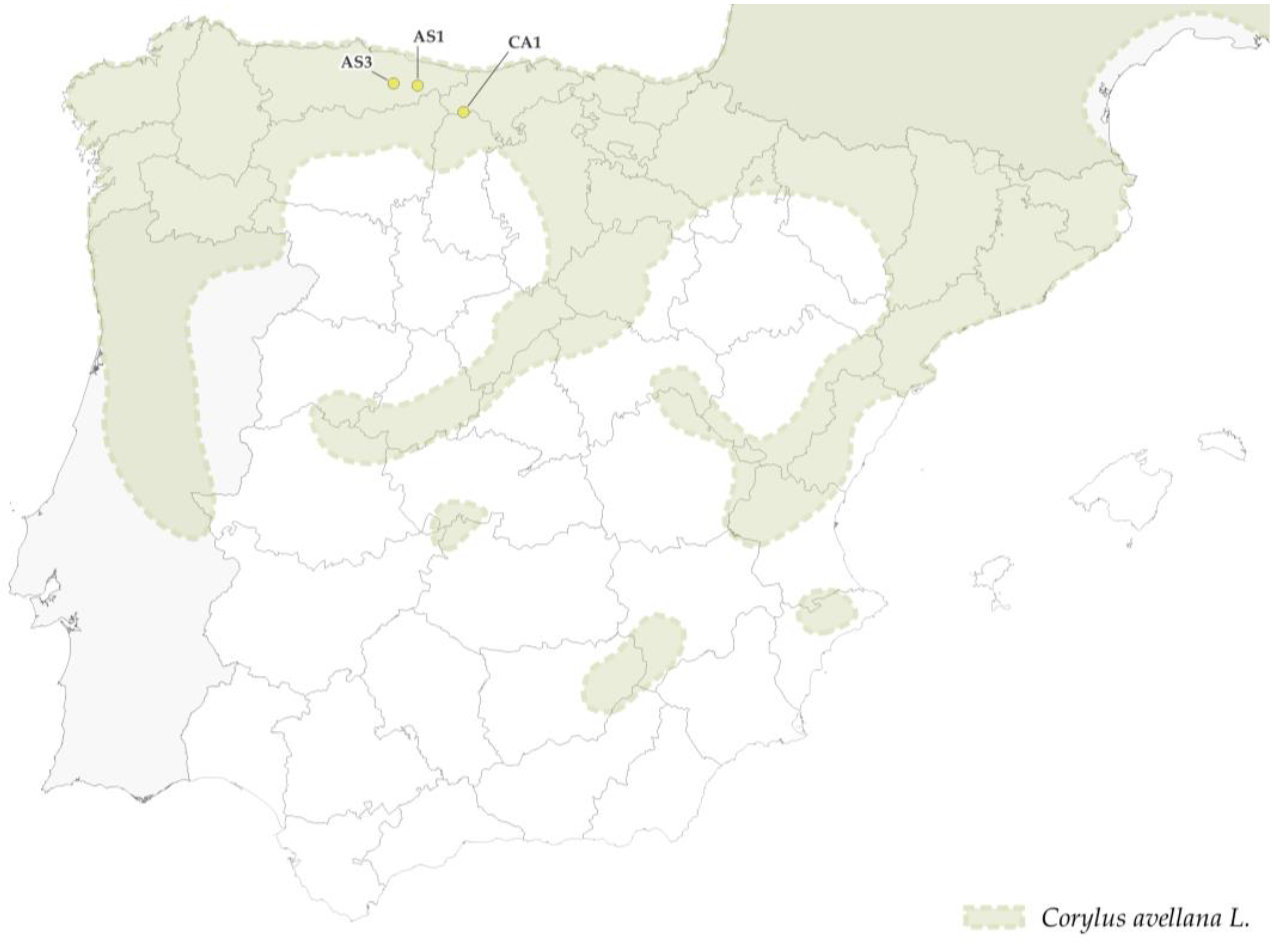 Forests 14 00352 g005