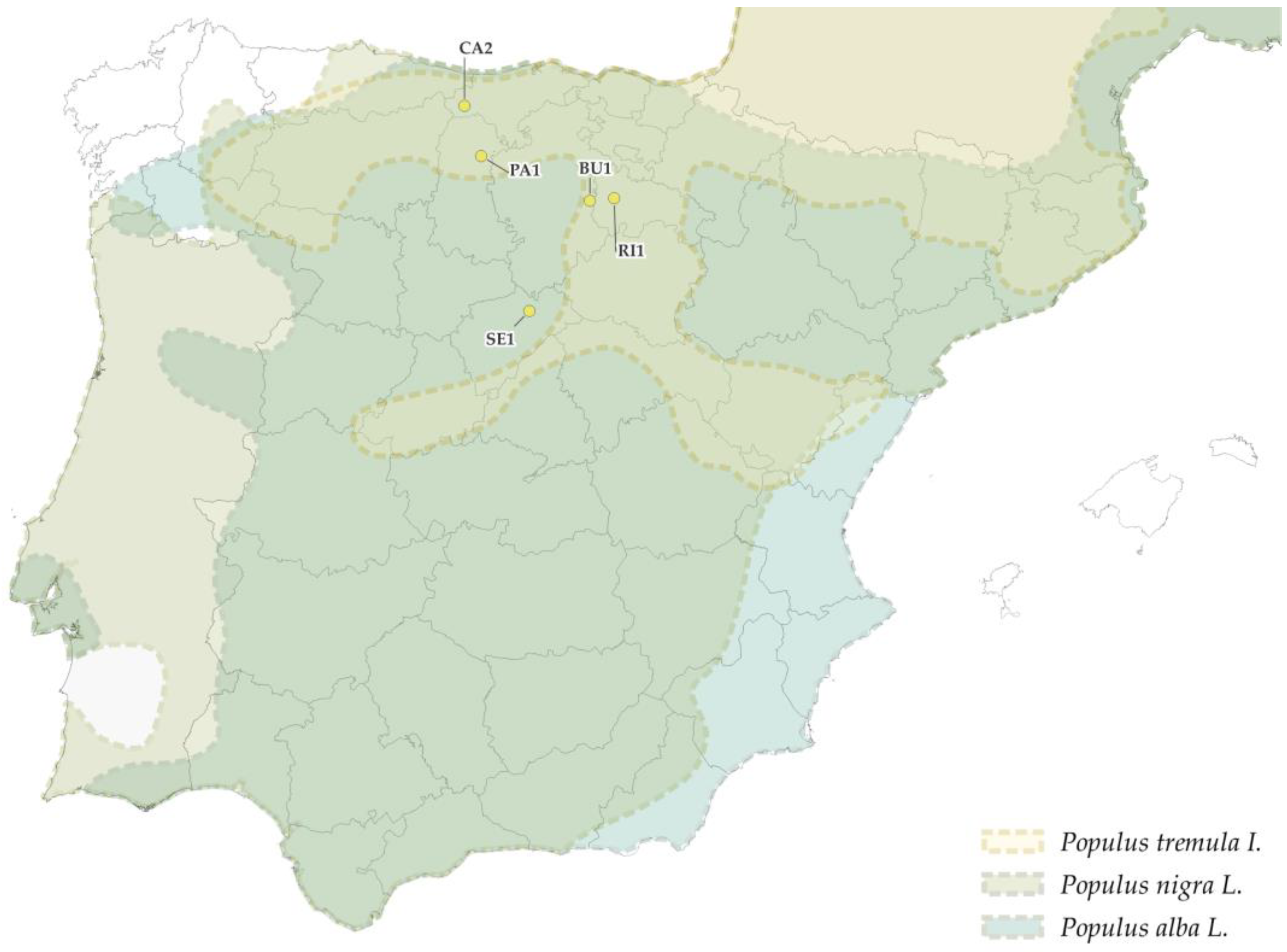 Forests 14 00352 g009