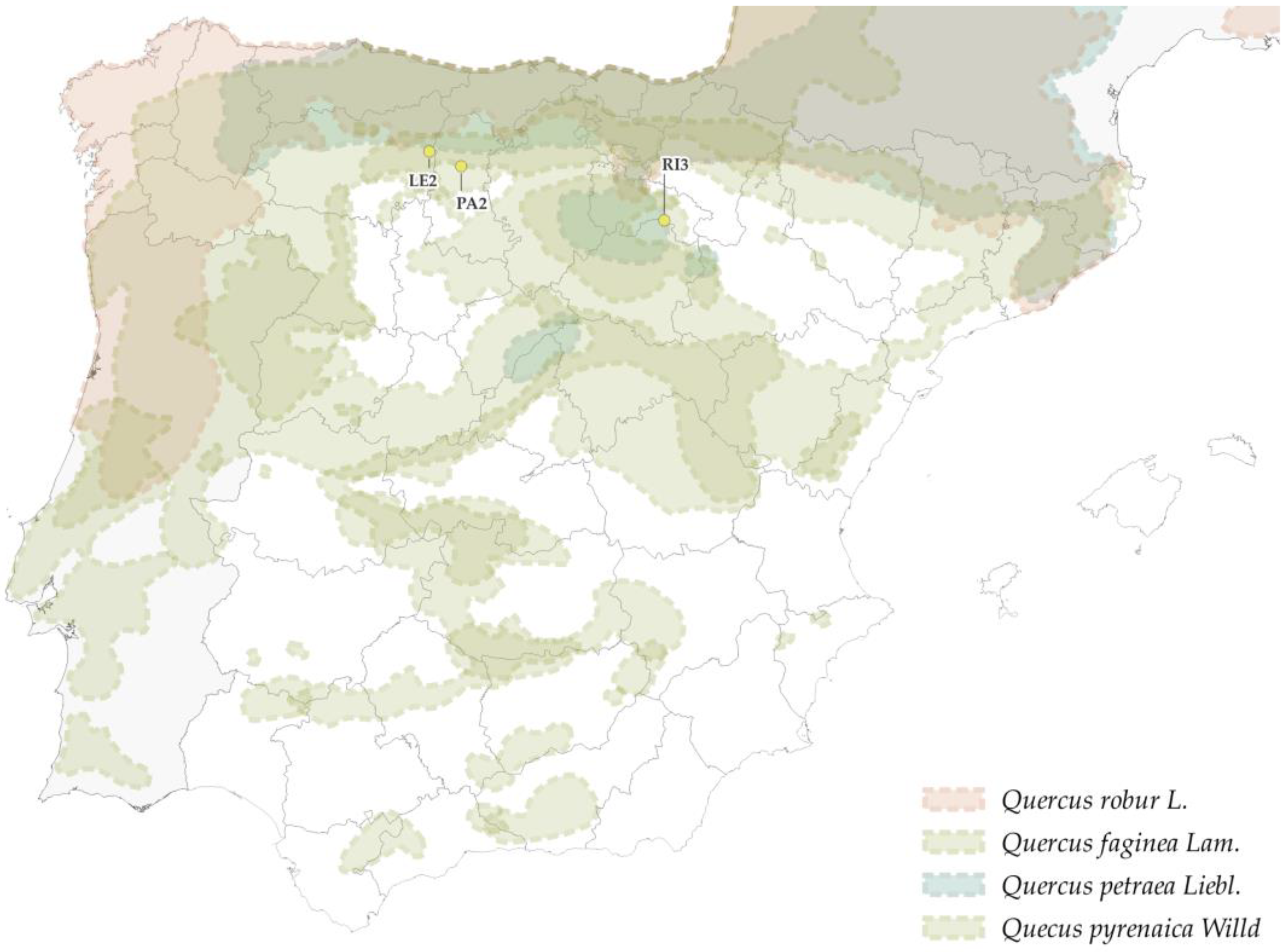 Forests 14 00352 g011