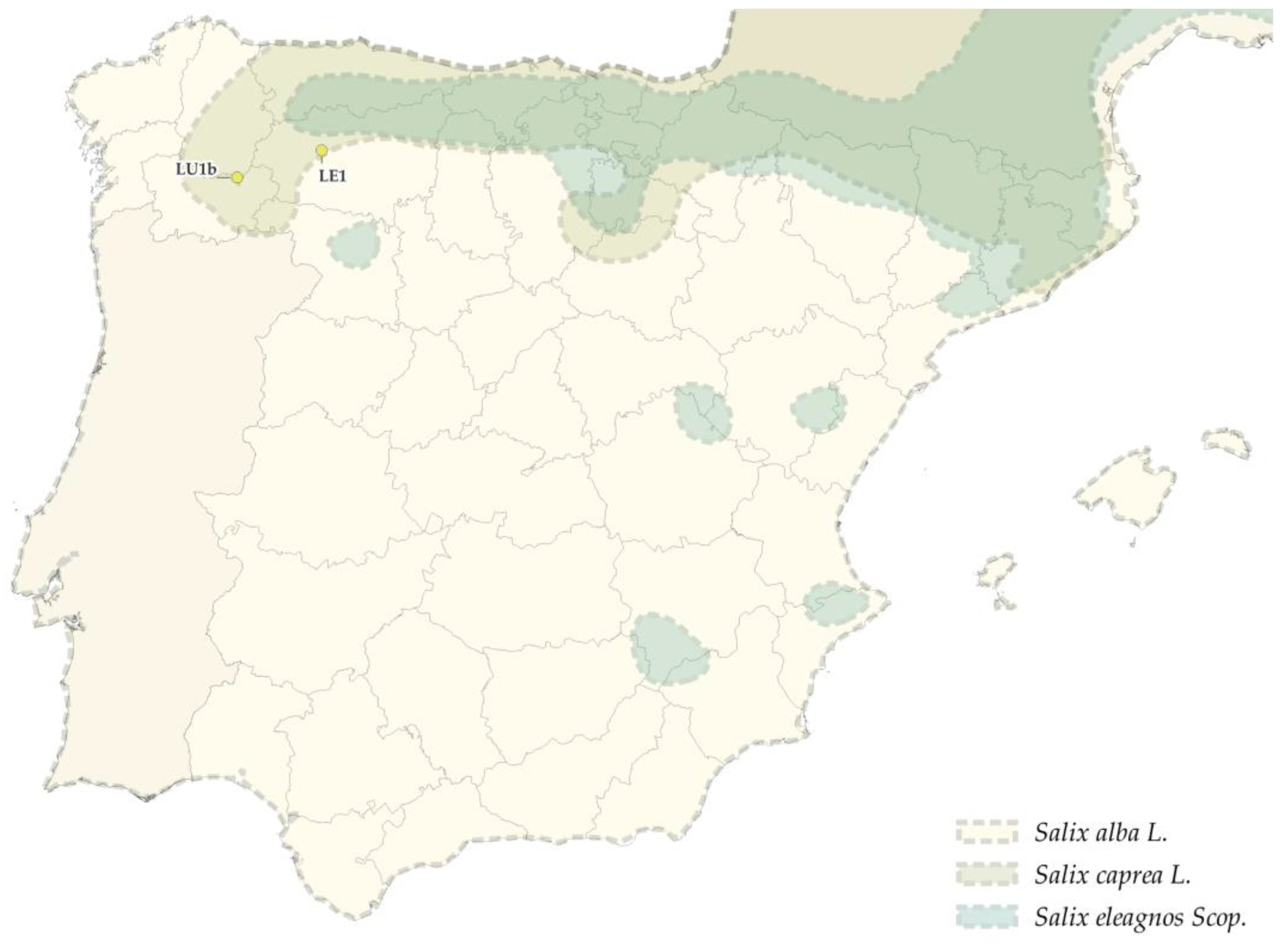 Forests 14 00352 g013