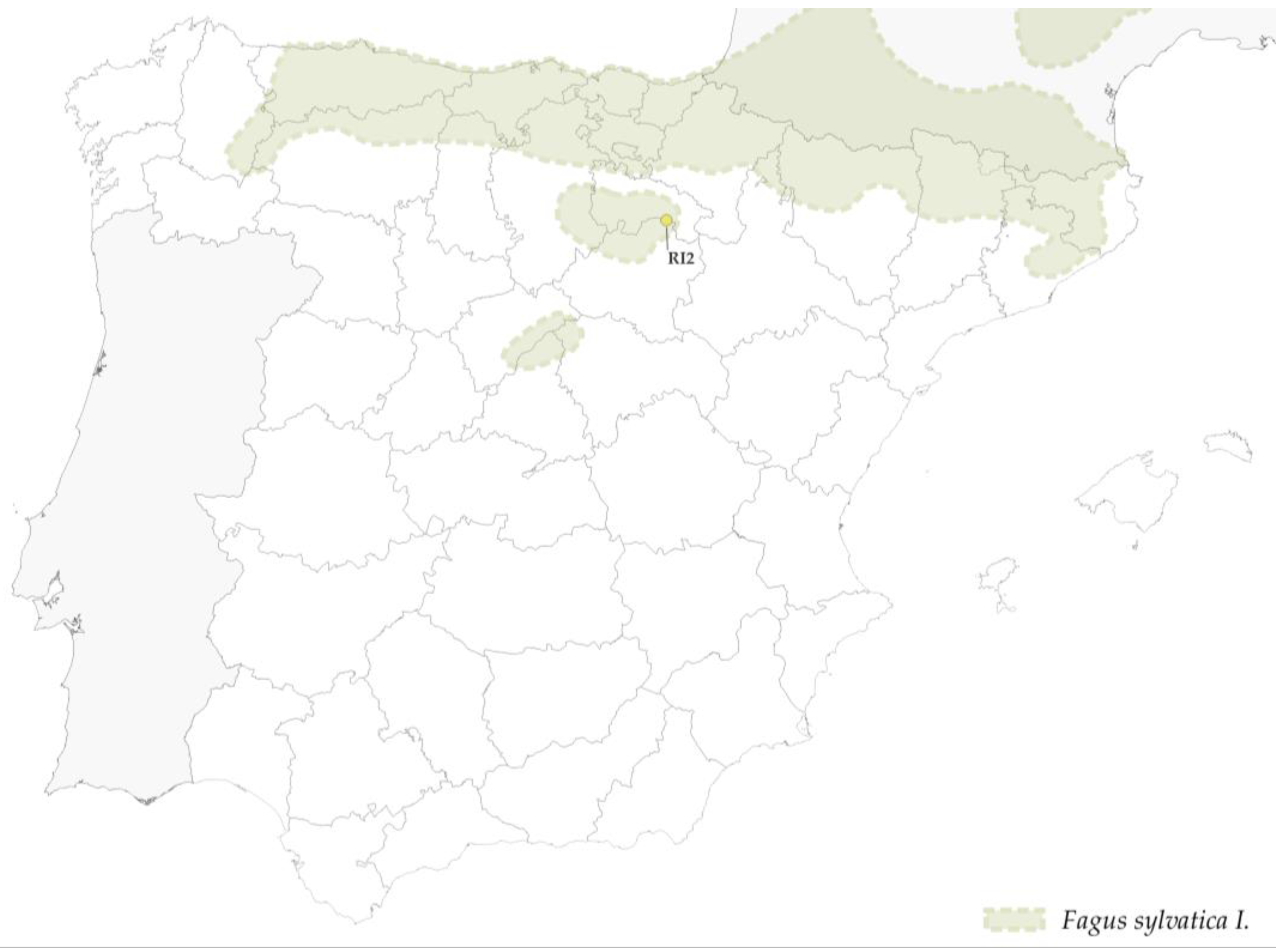 Forests 14 00352 g015