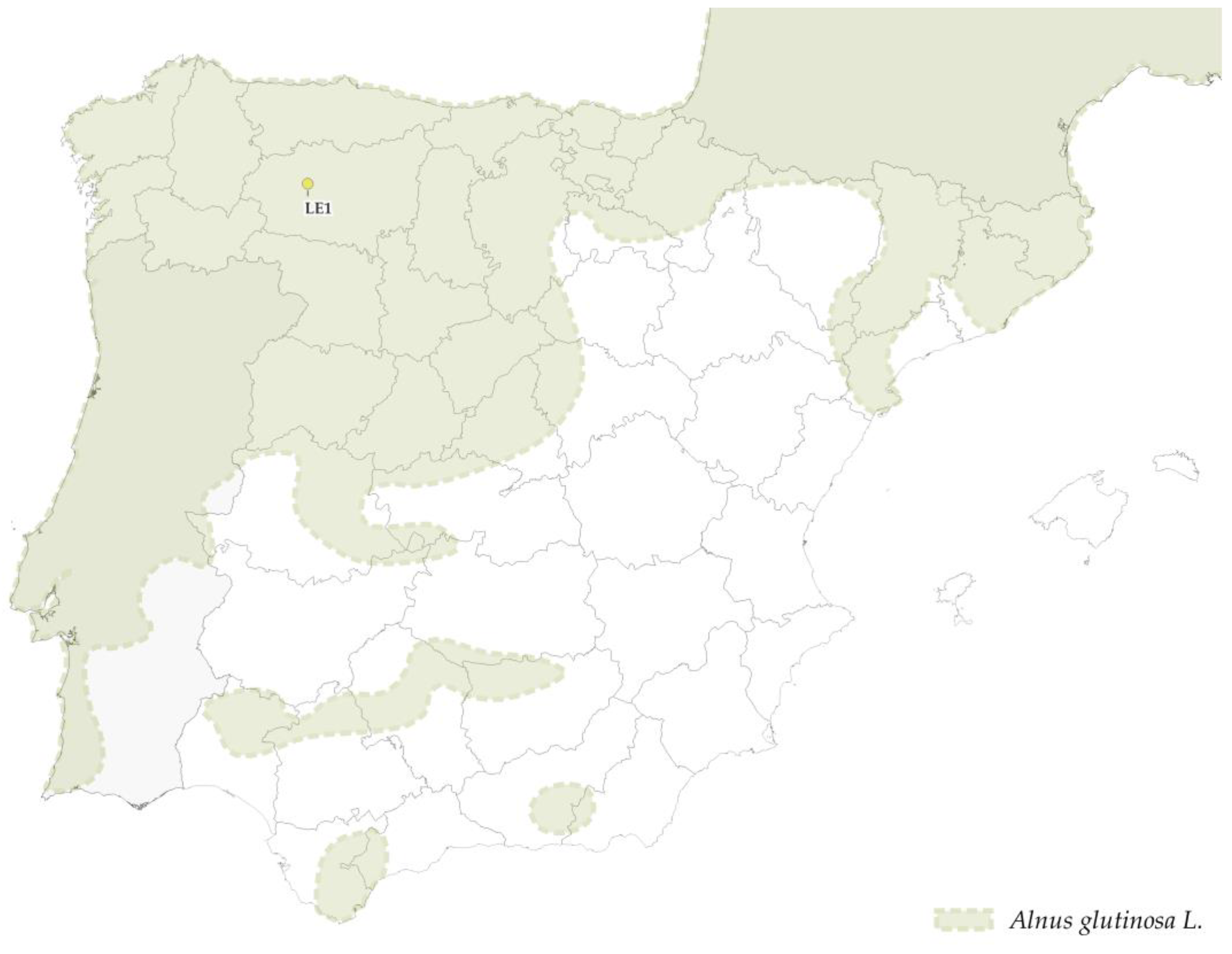Forests 14 00352 g017