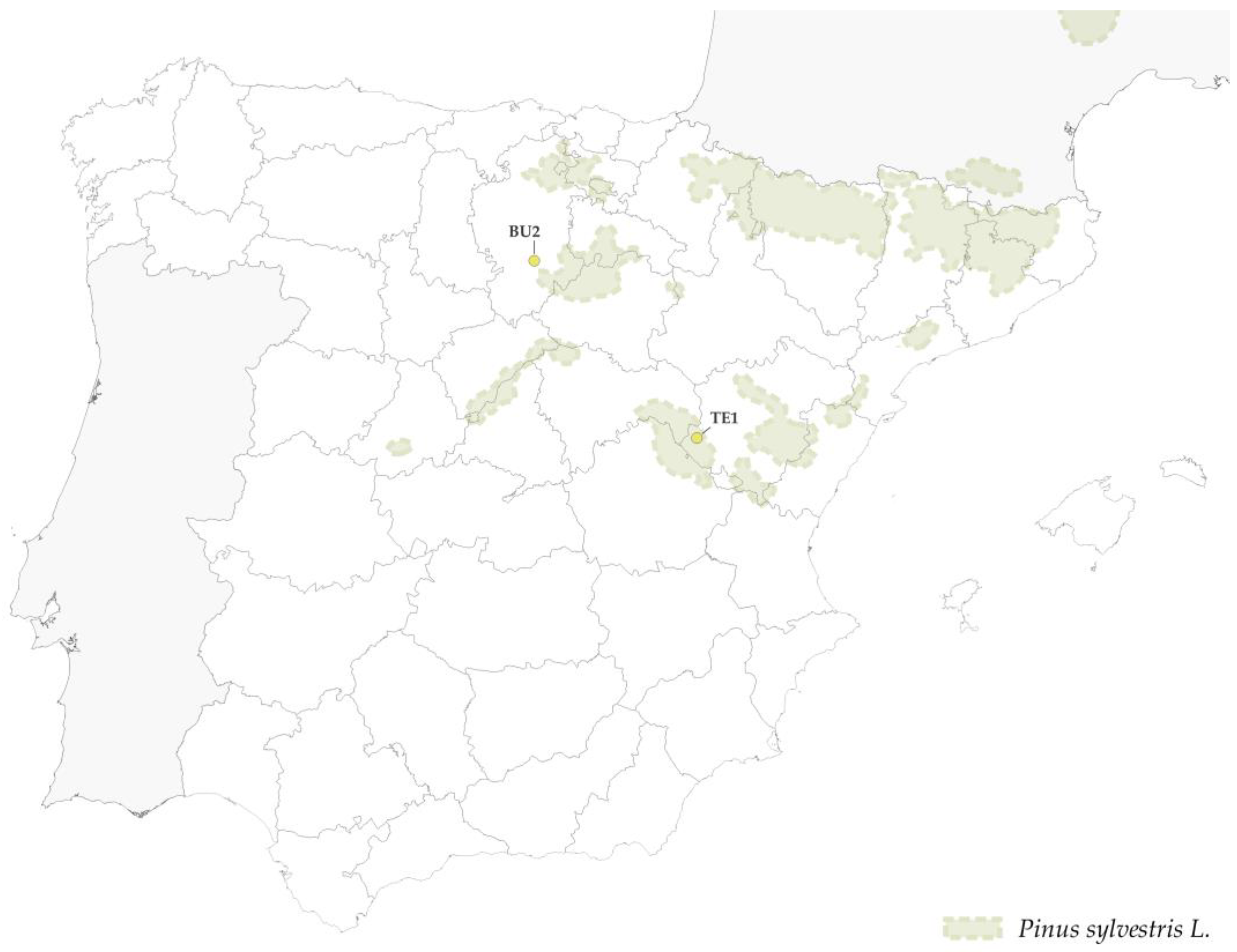 Forests 14 00352 g019