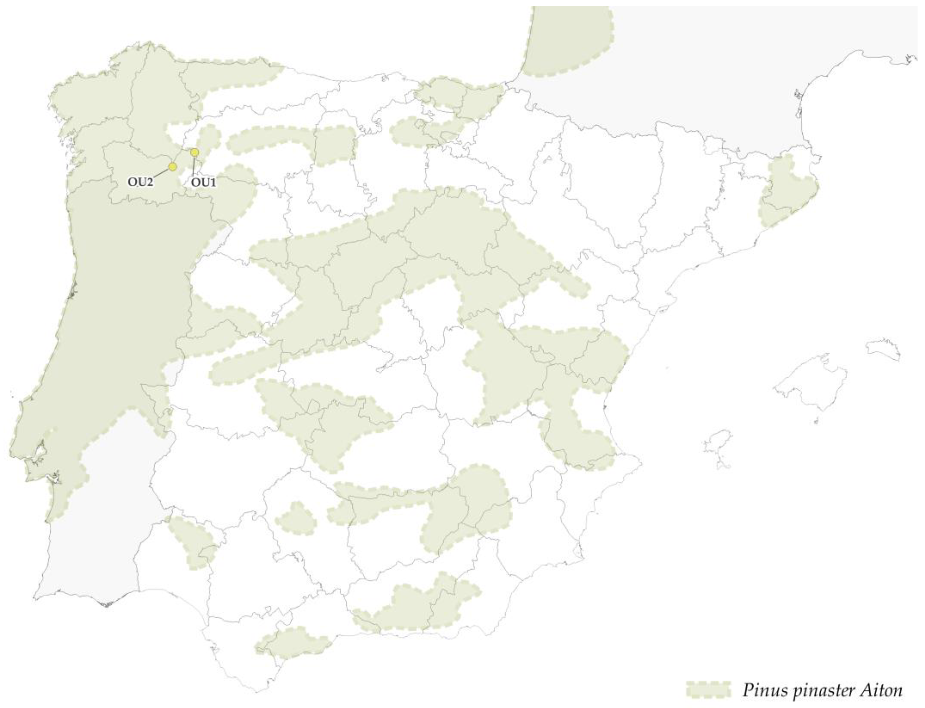 Forests 14 00352 g021