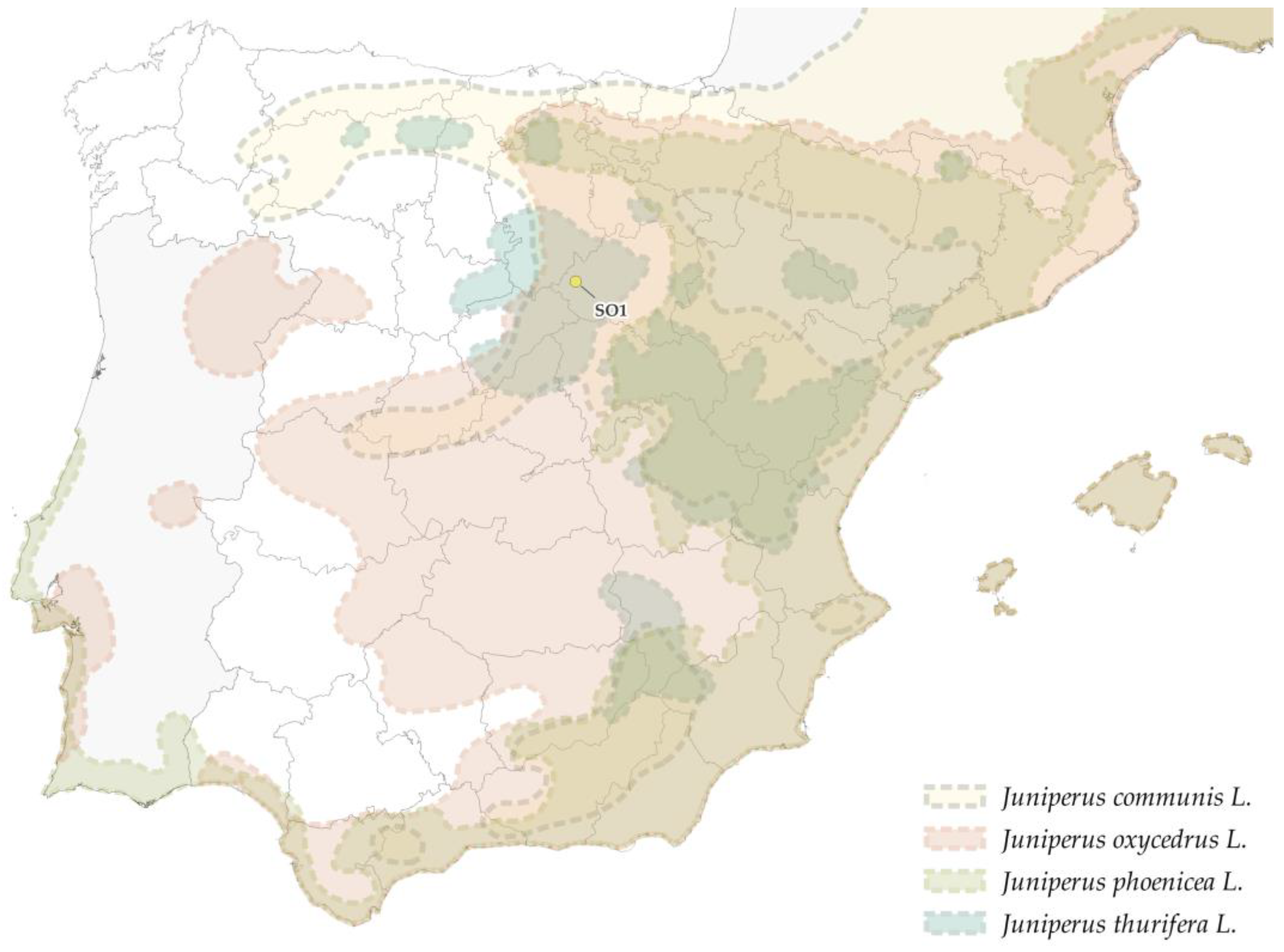Forests 14 00352 g023