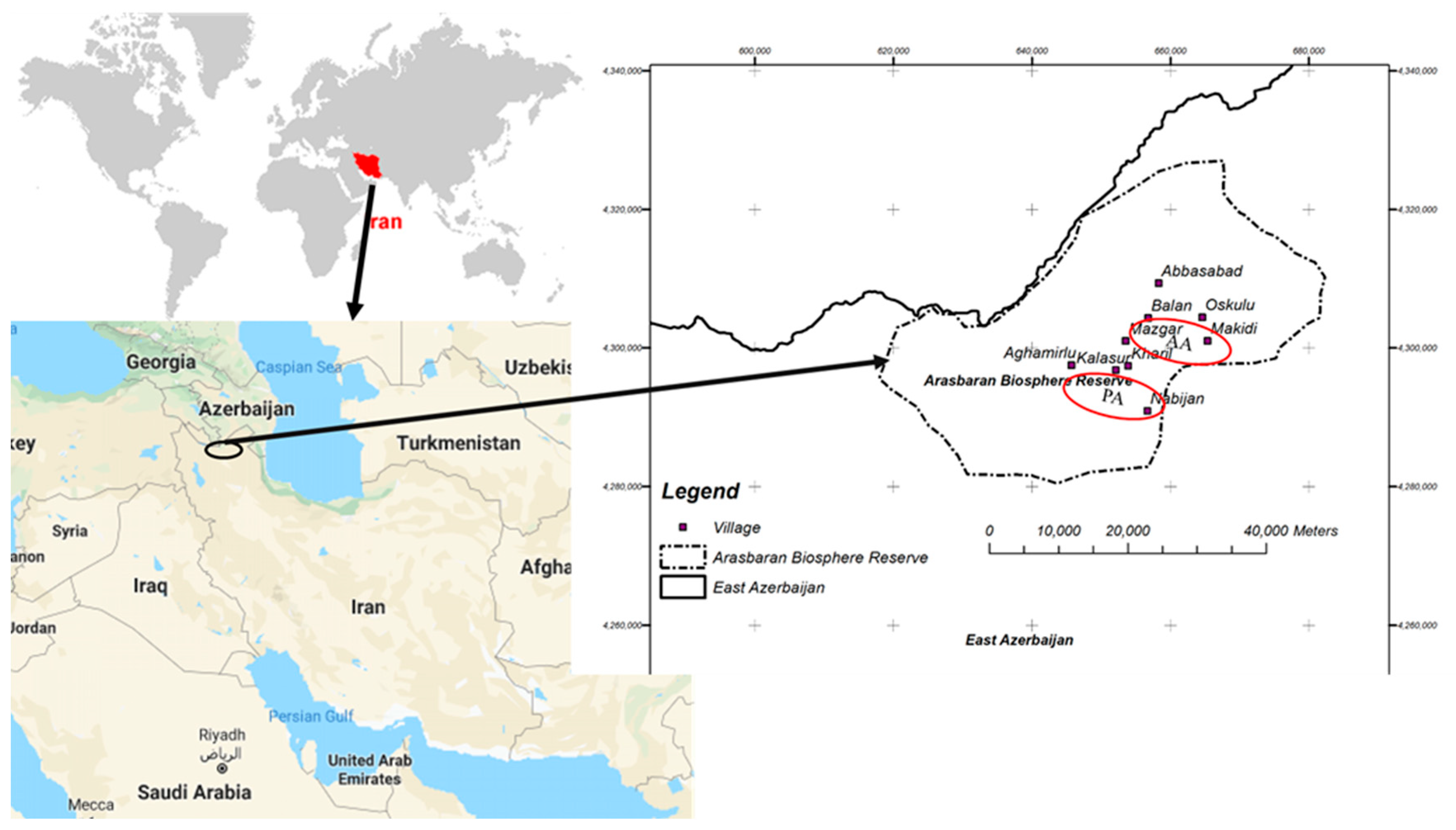 Forests 14 00353 g001 Forests 14 00353 g001