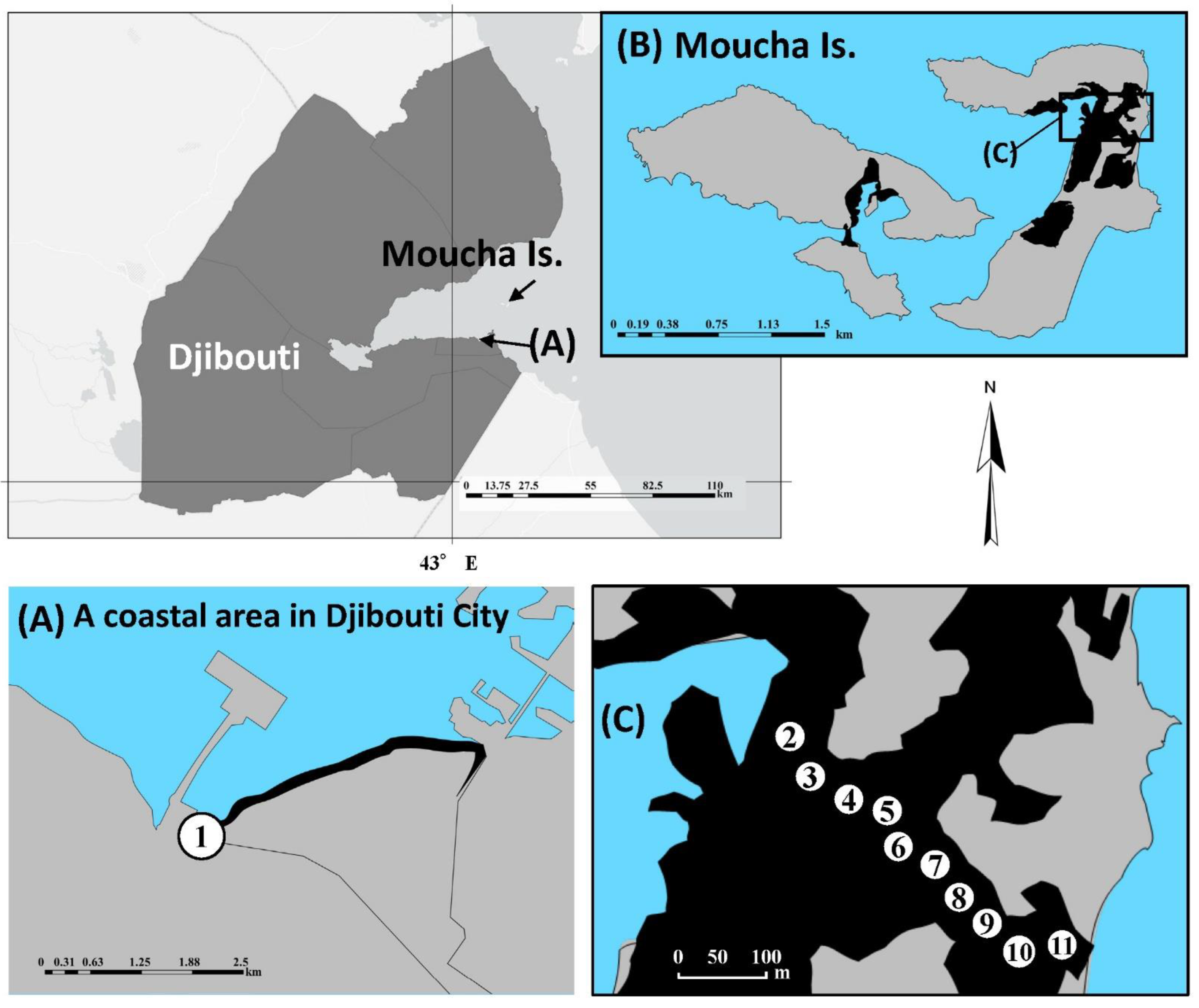 Forests 14 00359 g001