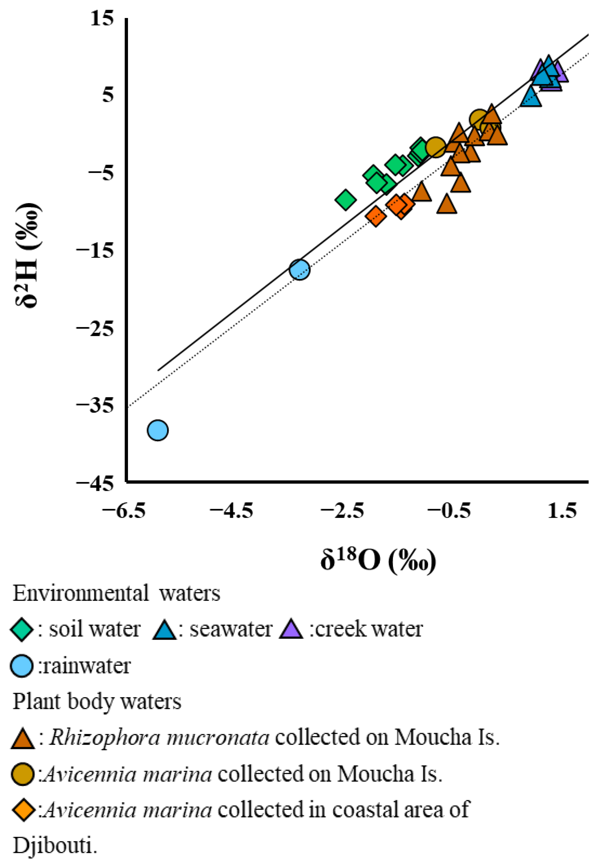 Forests 14 00359 g002