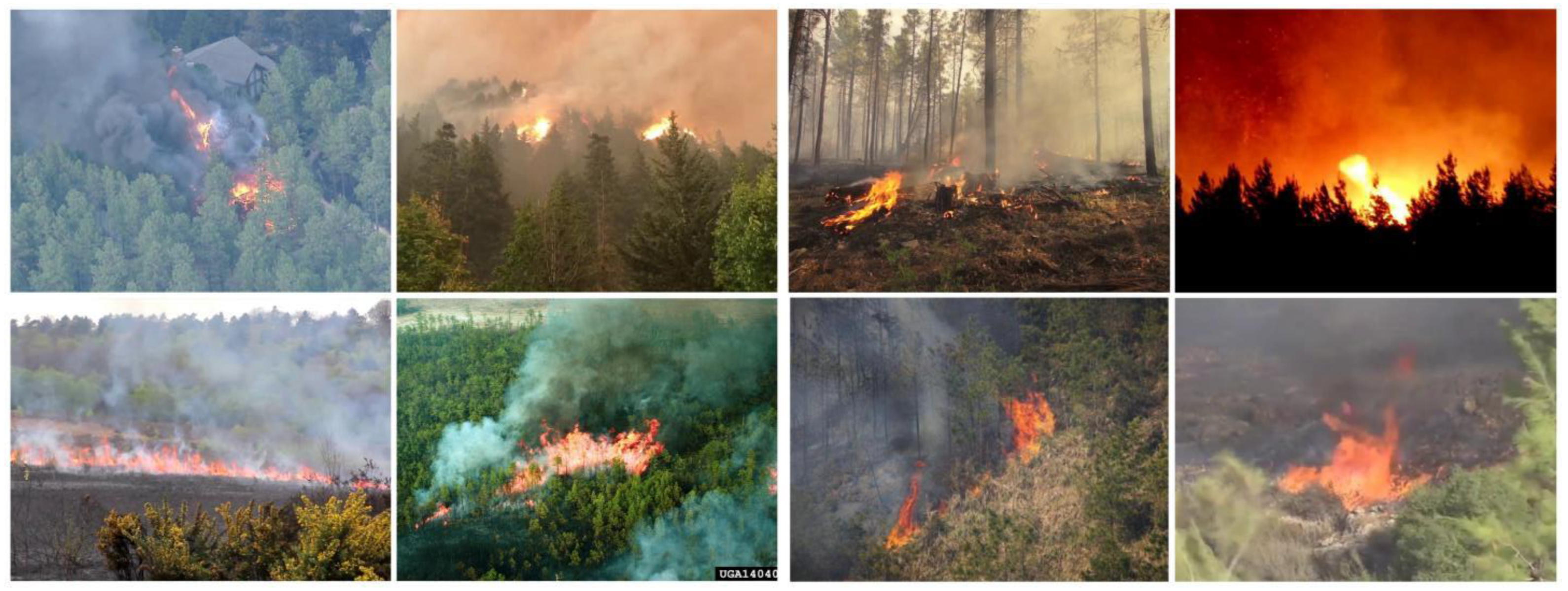 Forests 14 00361 g001