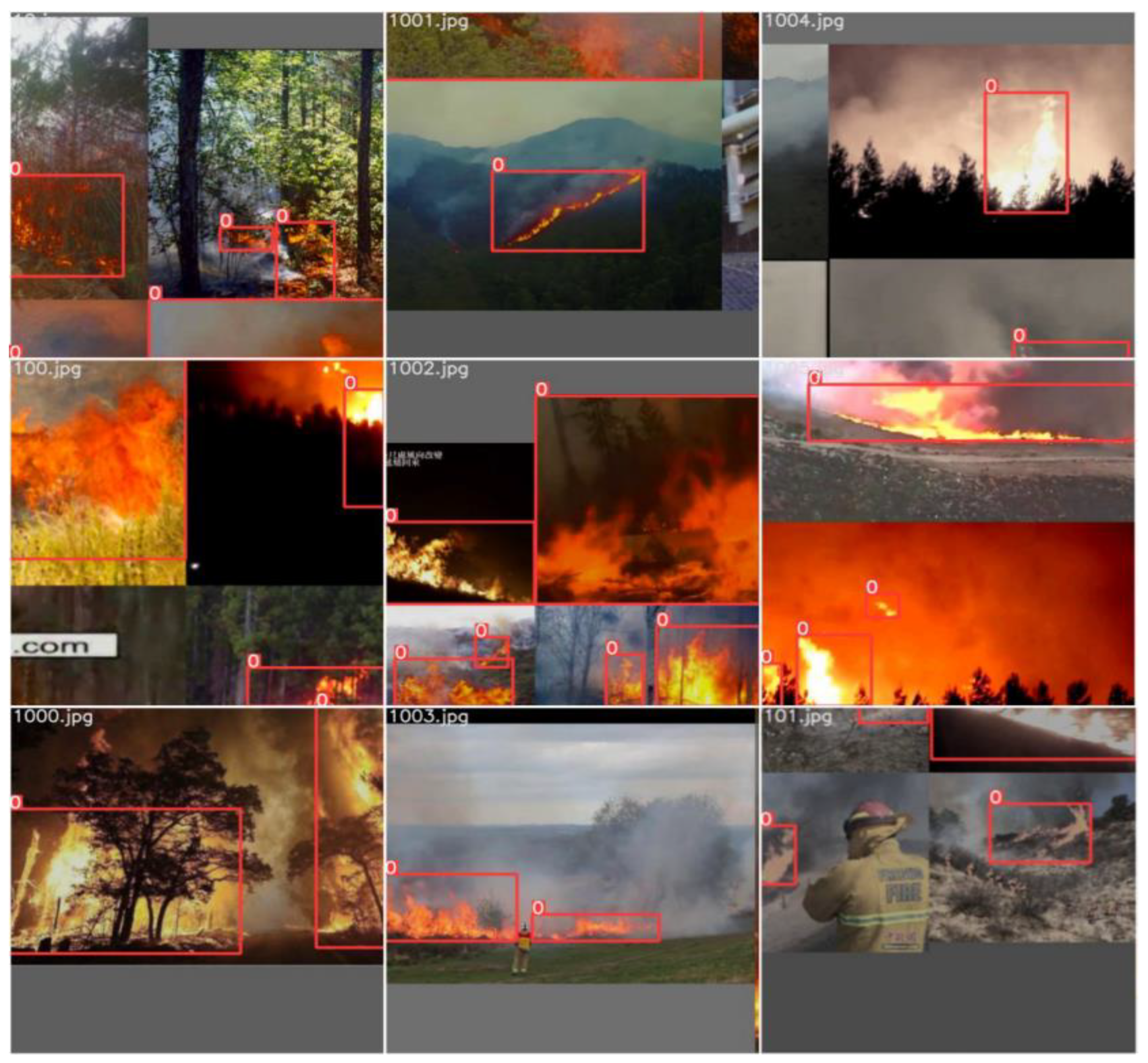 Forests 14 00361 g002