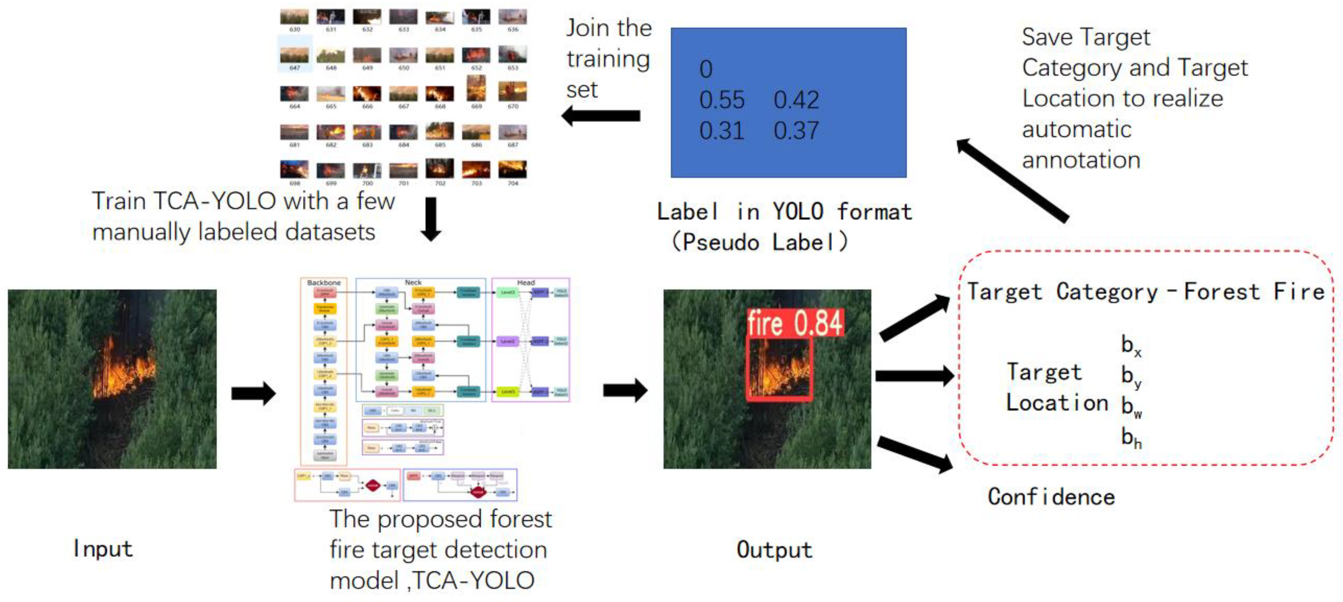 Forests 14 00361 g008