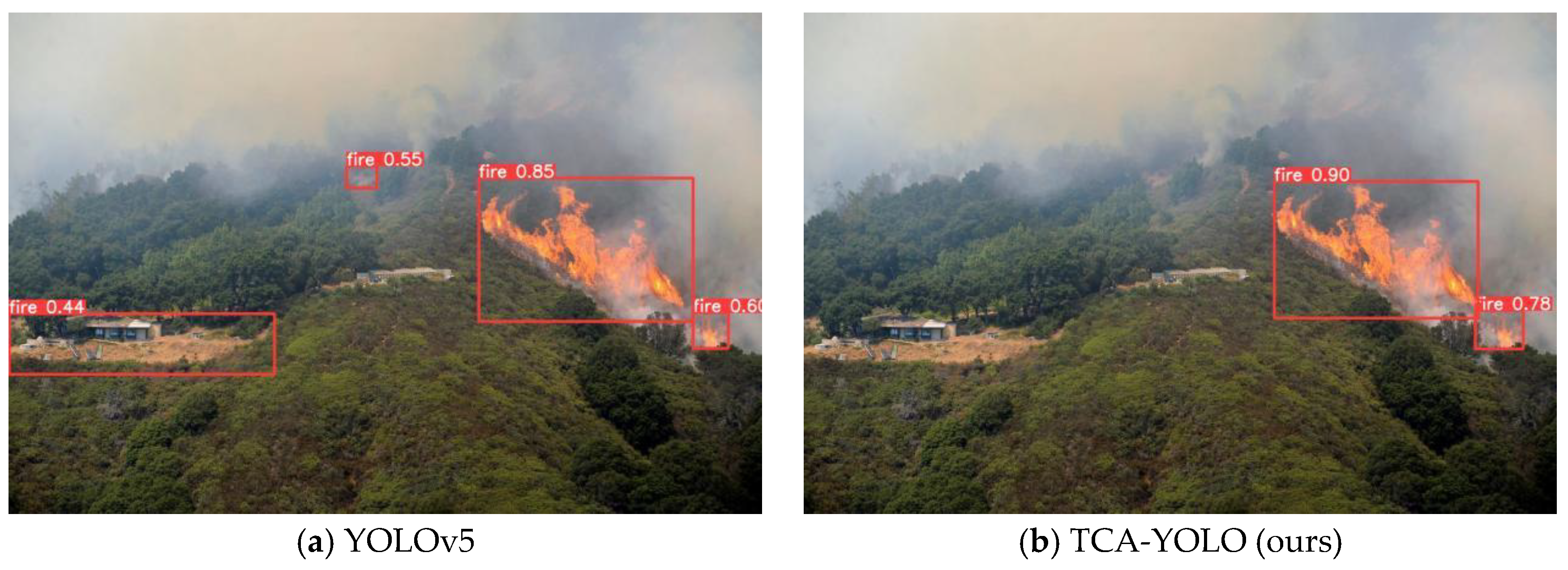 Forests 14 00361 g010