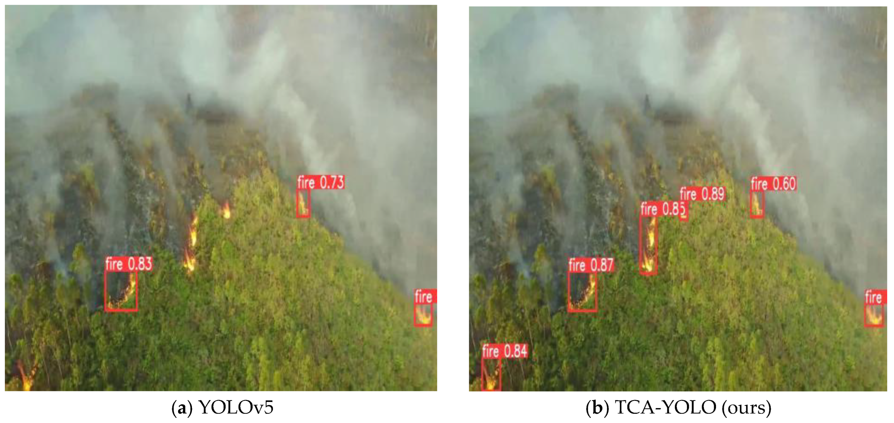 Forests 14 00361 g012