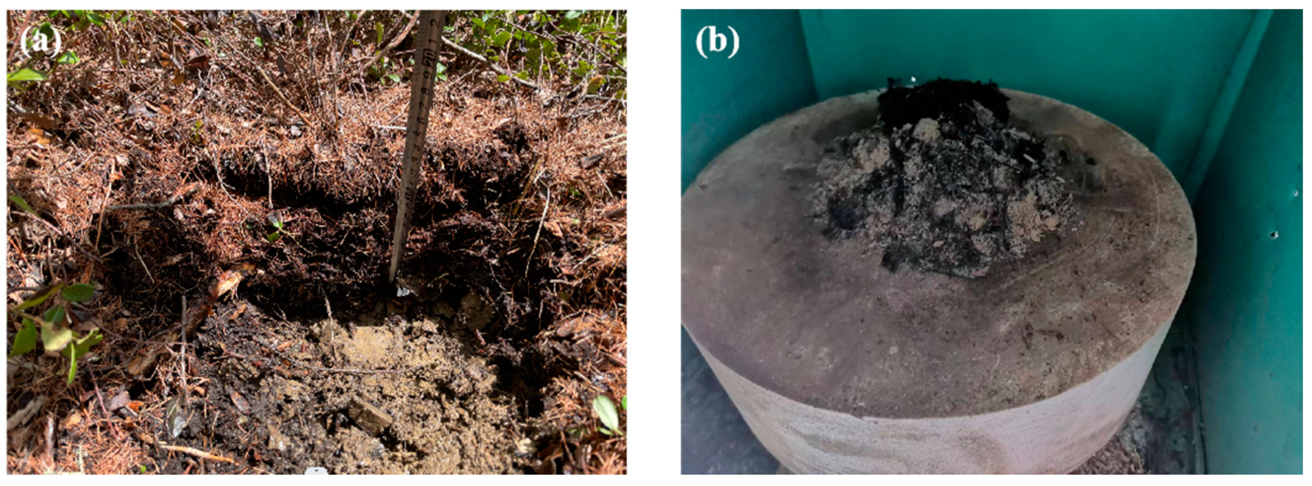 Forests 14 00364 g002 Forests 14 00364 g002