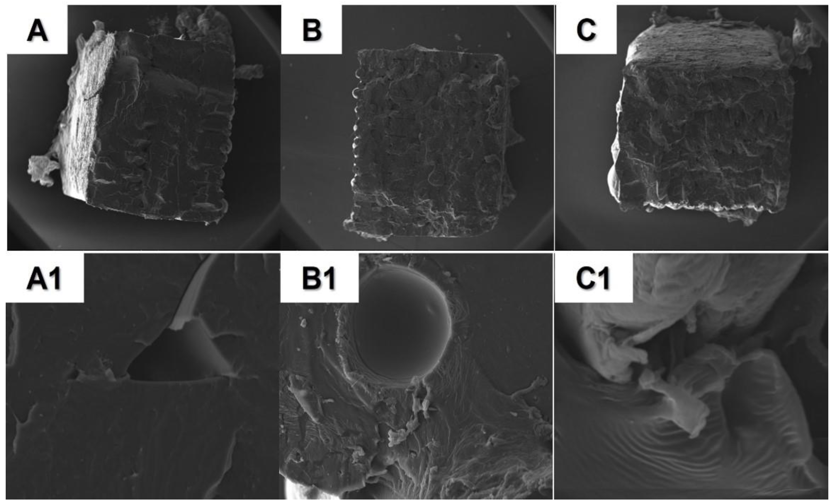 Forests 14 00367 g005