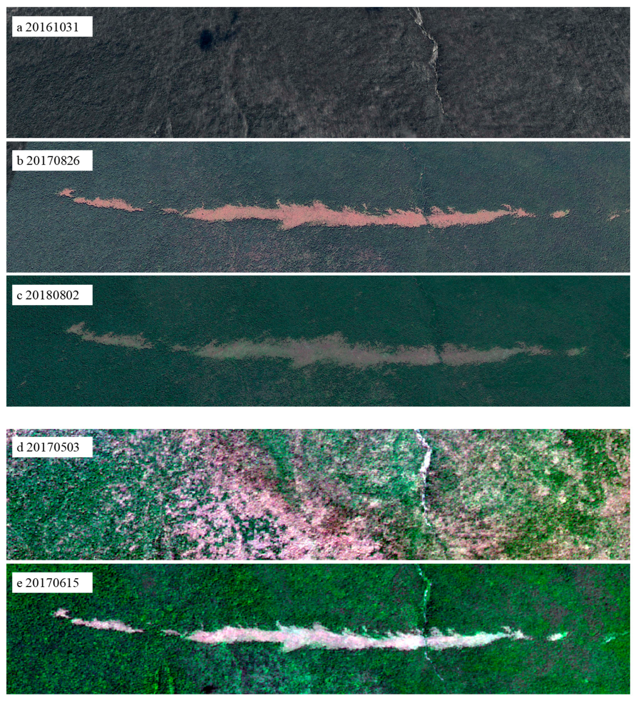 Forests 14 00368 g004 550