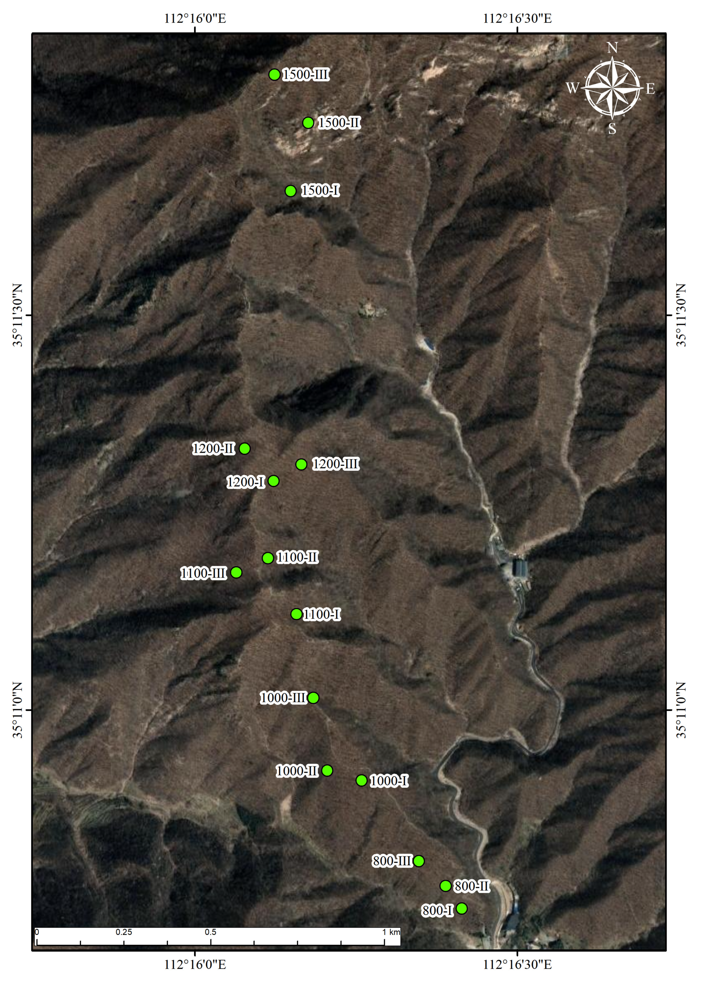 Forests 14 00370 g001