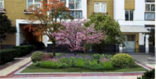 Forests 14 00375 i003