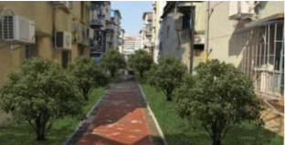 Forests 14 00375 i008