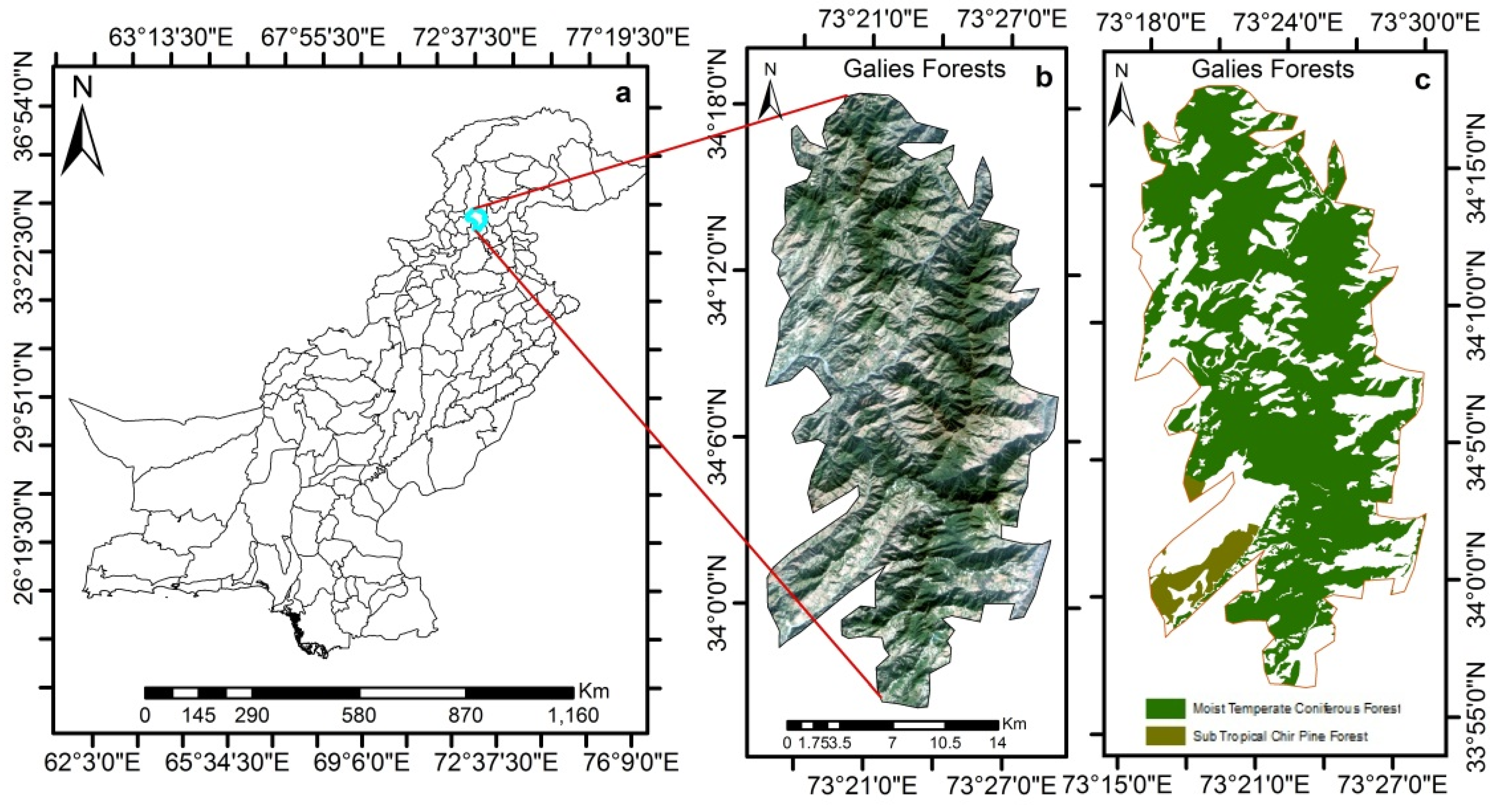 Forests 14 00379 g001