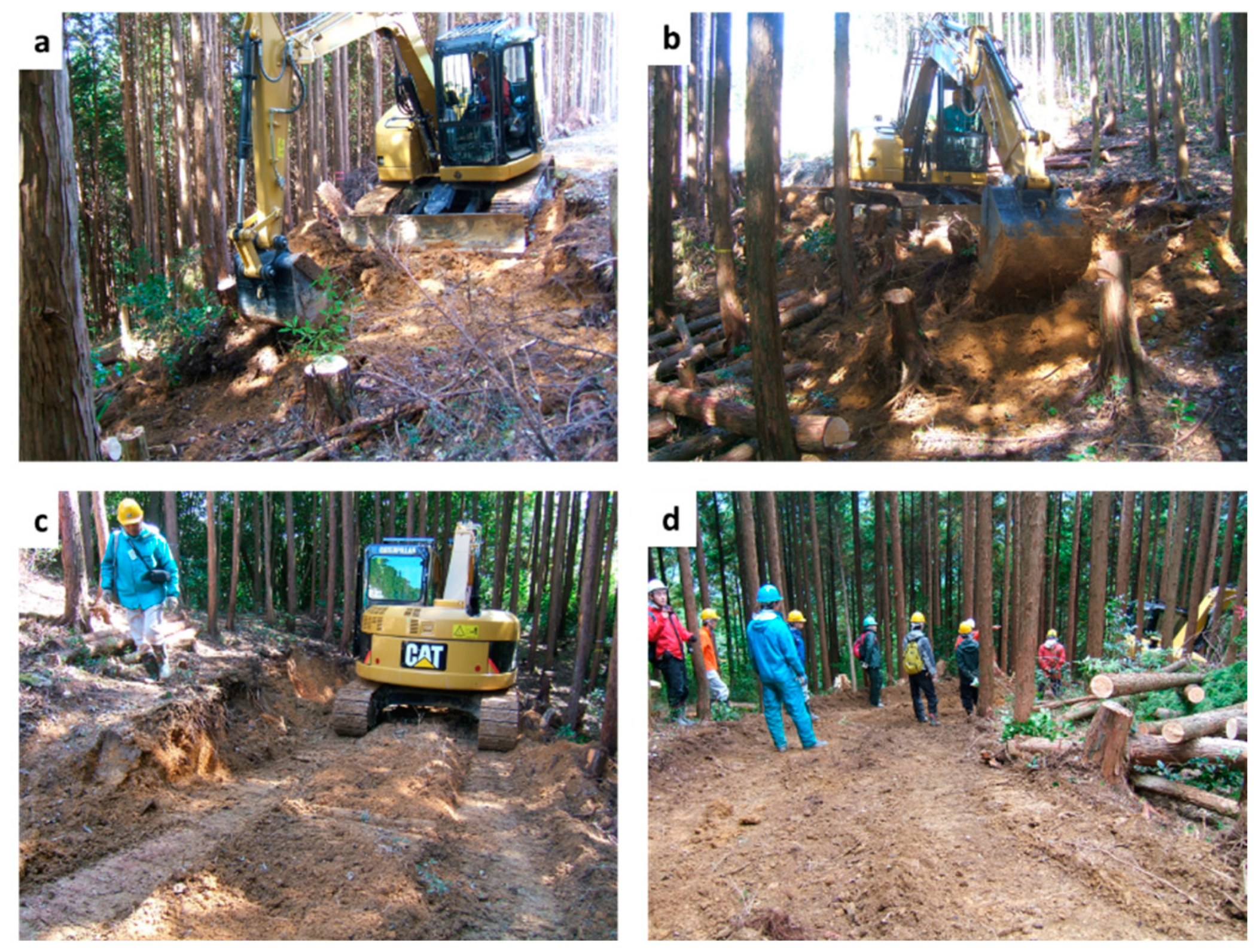 Forests 14 00380 g003