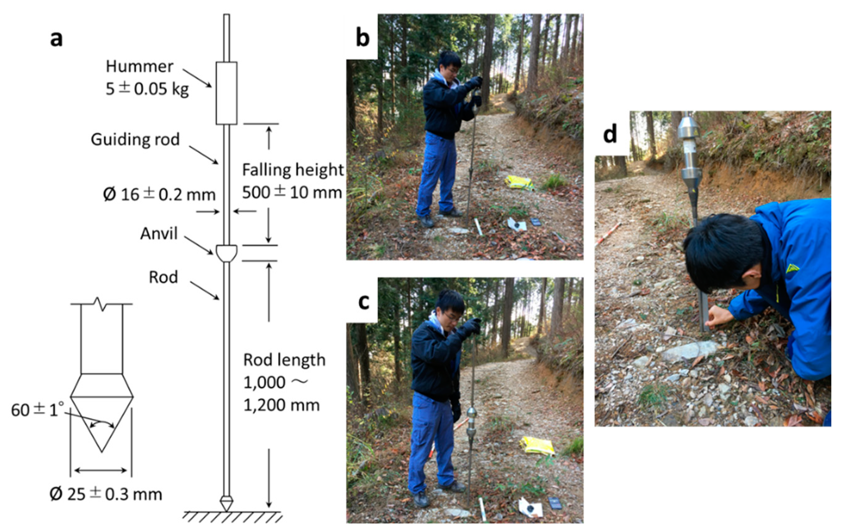 Forests 14 00380 g004