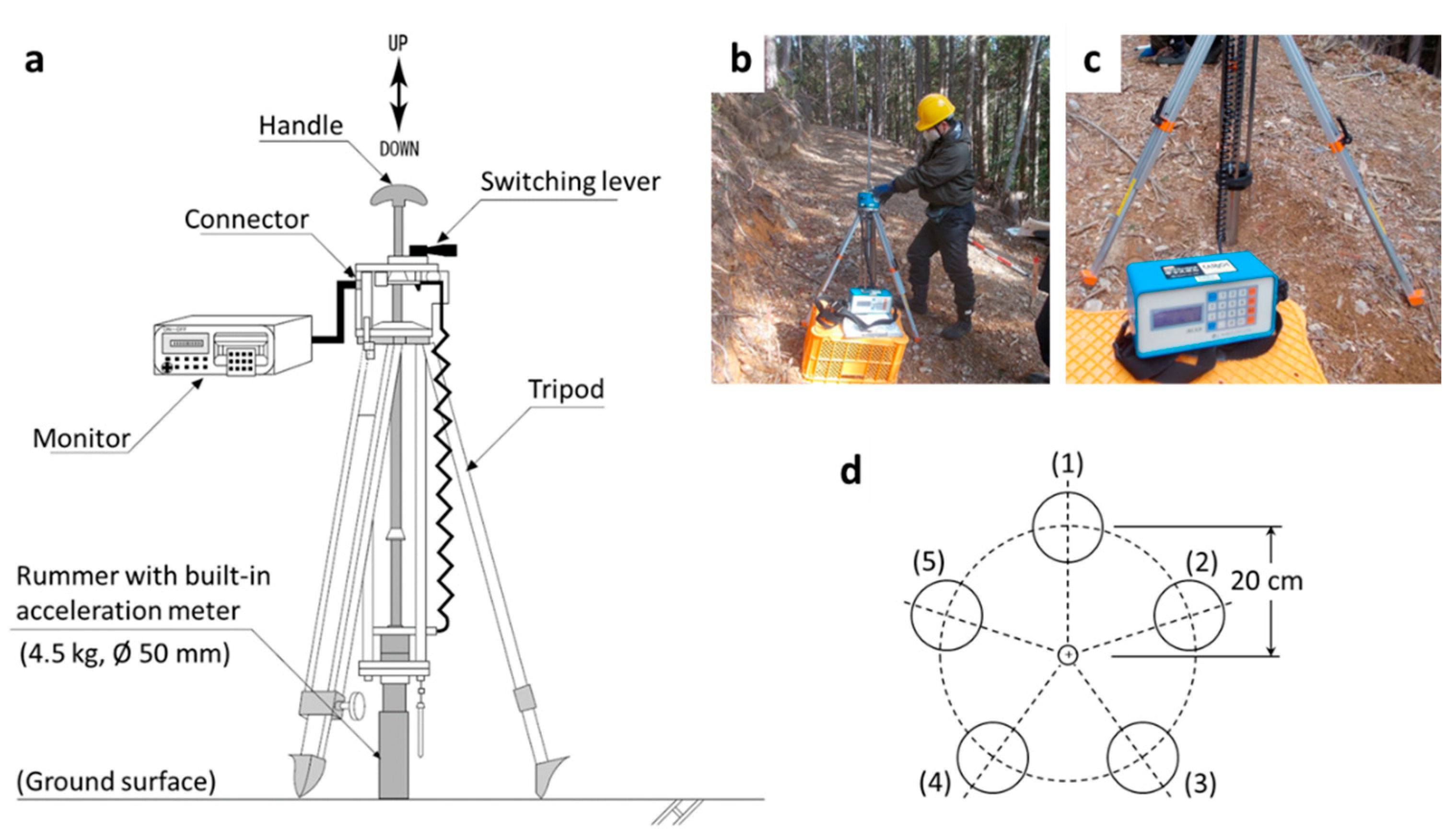 Forests 14 00380 g005