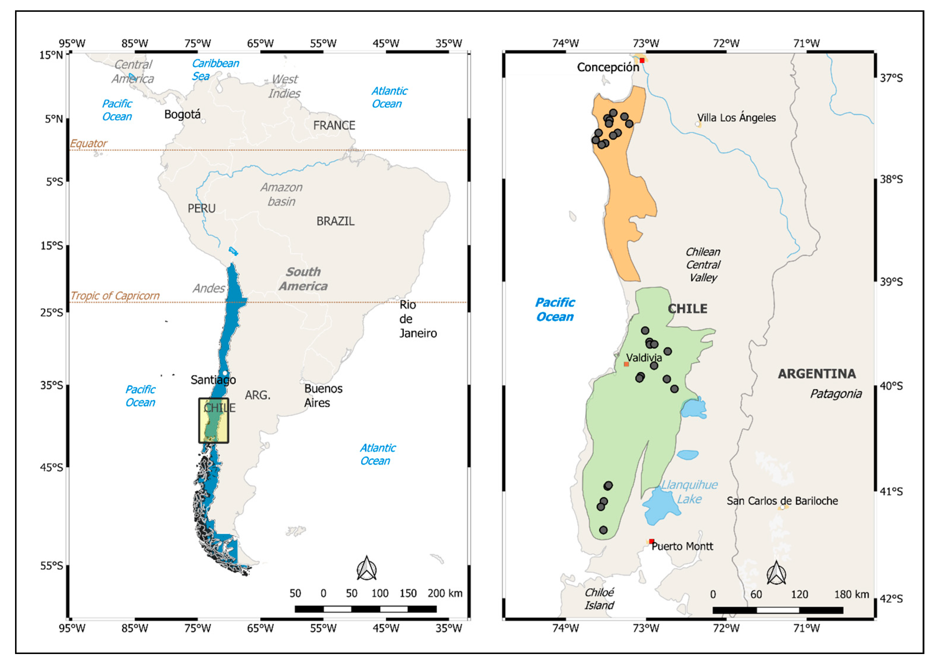 Forests 14 00381 g001