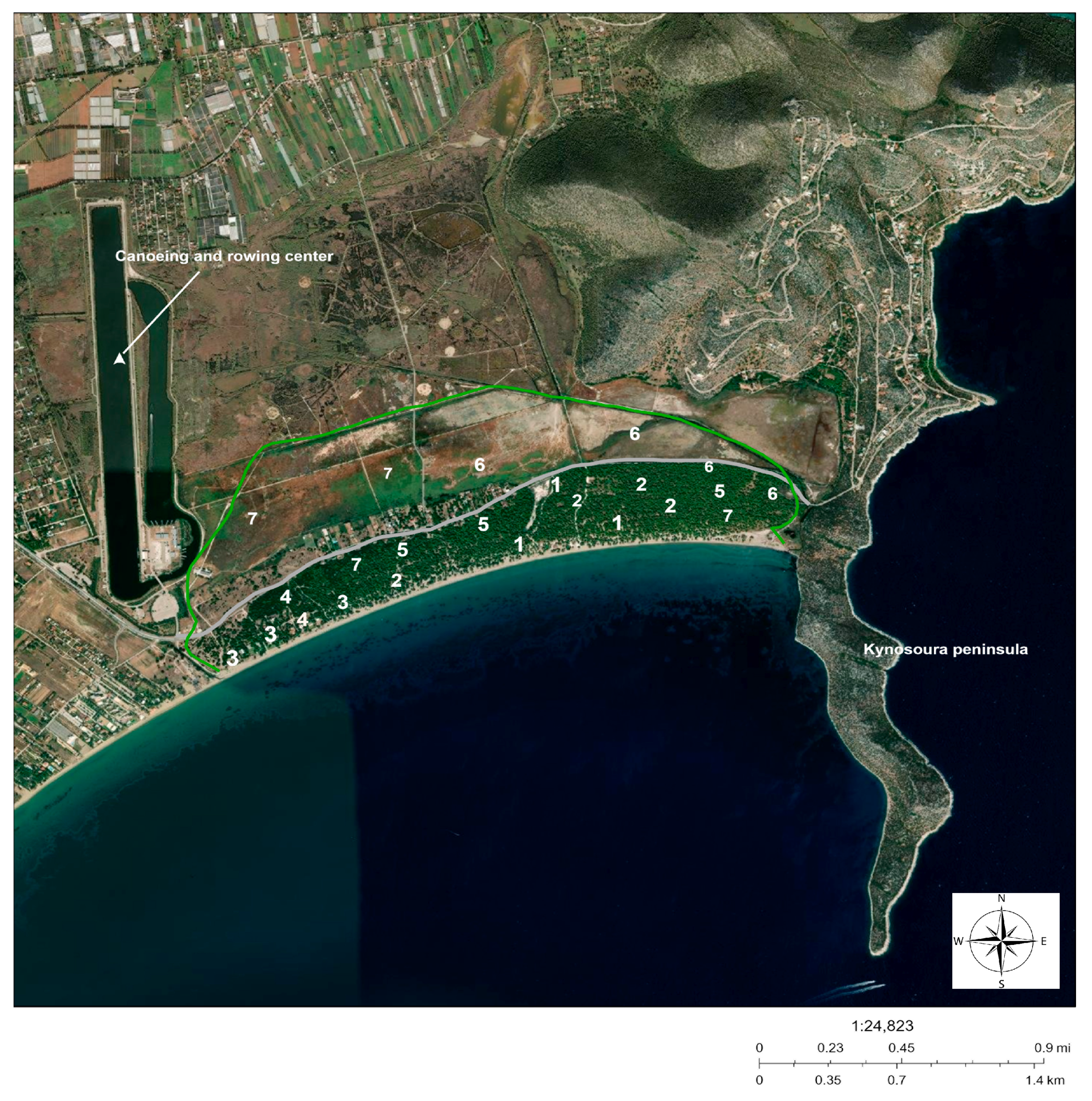 Forests 14 00392 g001