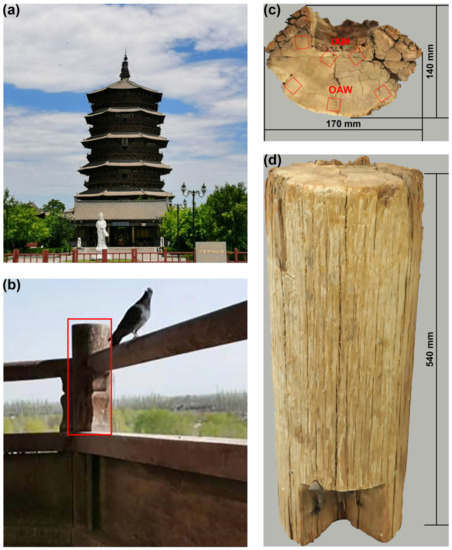 buildings」type.C ancient ruins 佐伯泰典作① Nobody Knows Who