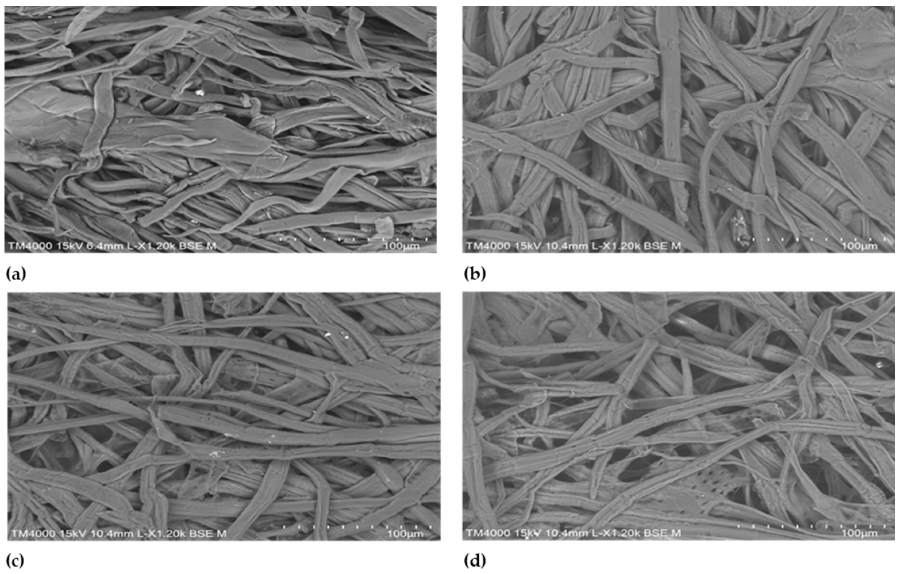 Forests 14 00396 g001