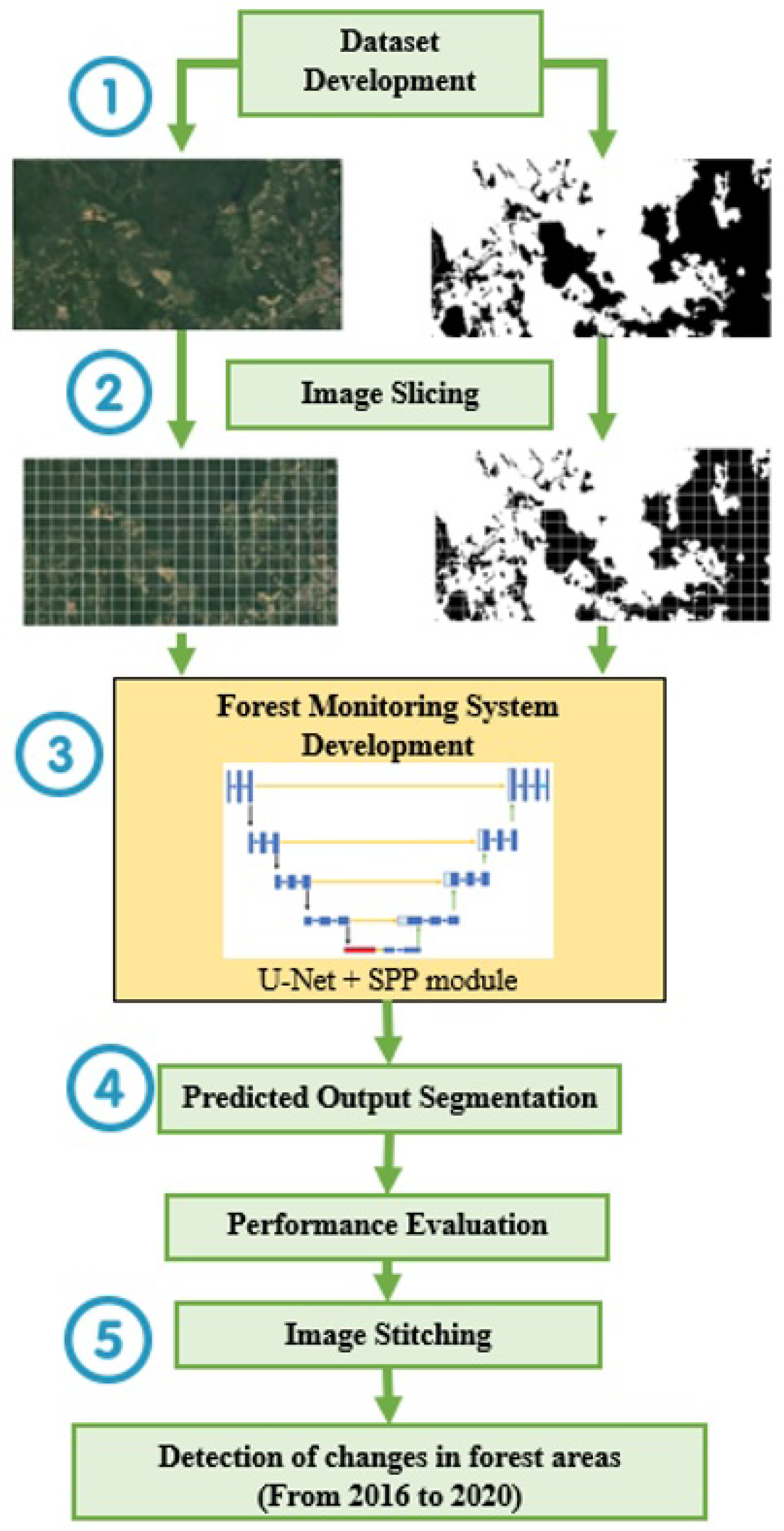 Forests 14 00405 g001