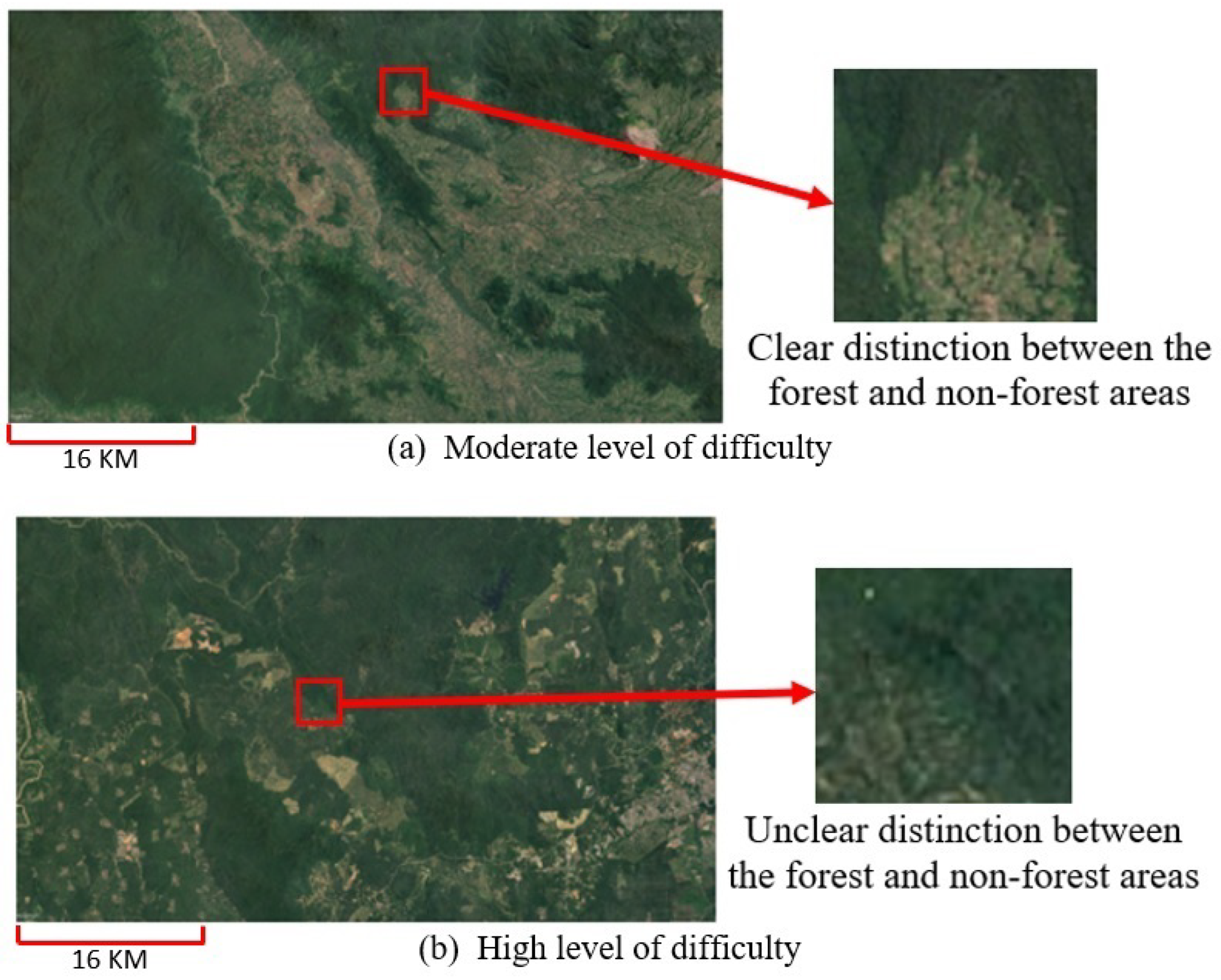Forests 14 00405 g004