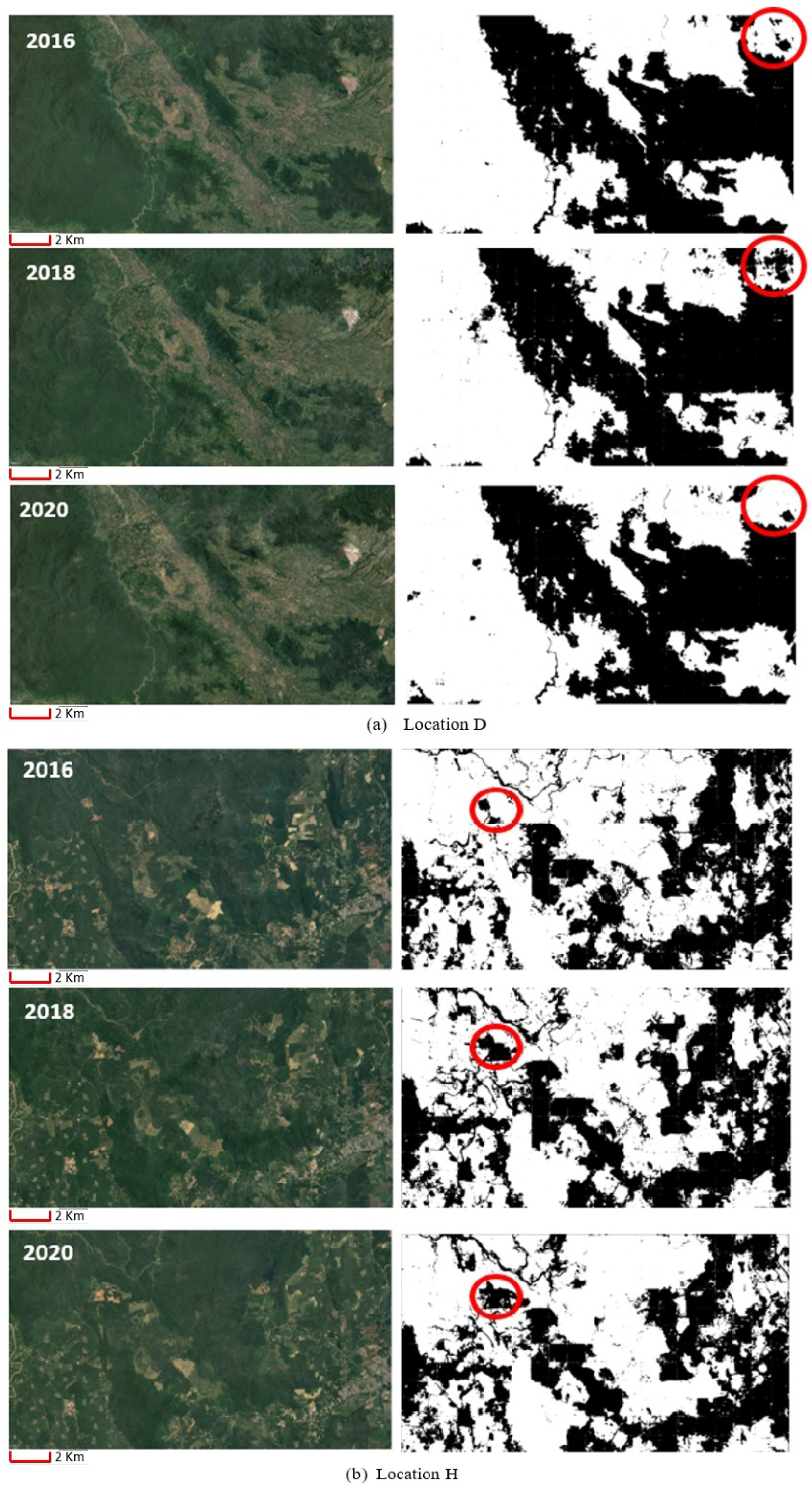 Forests 14 00405 g008