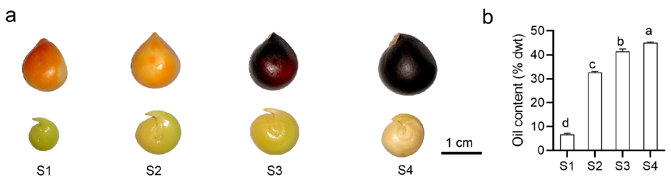 Forests 14 00407 g001 Forests 14 00407 g001