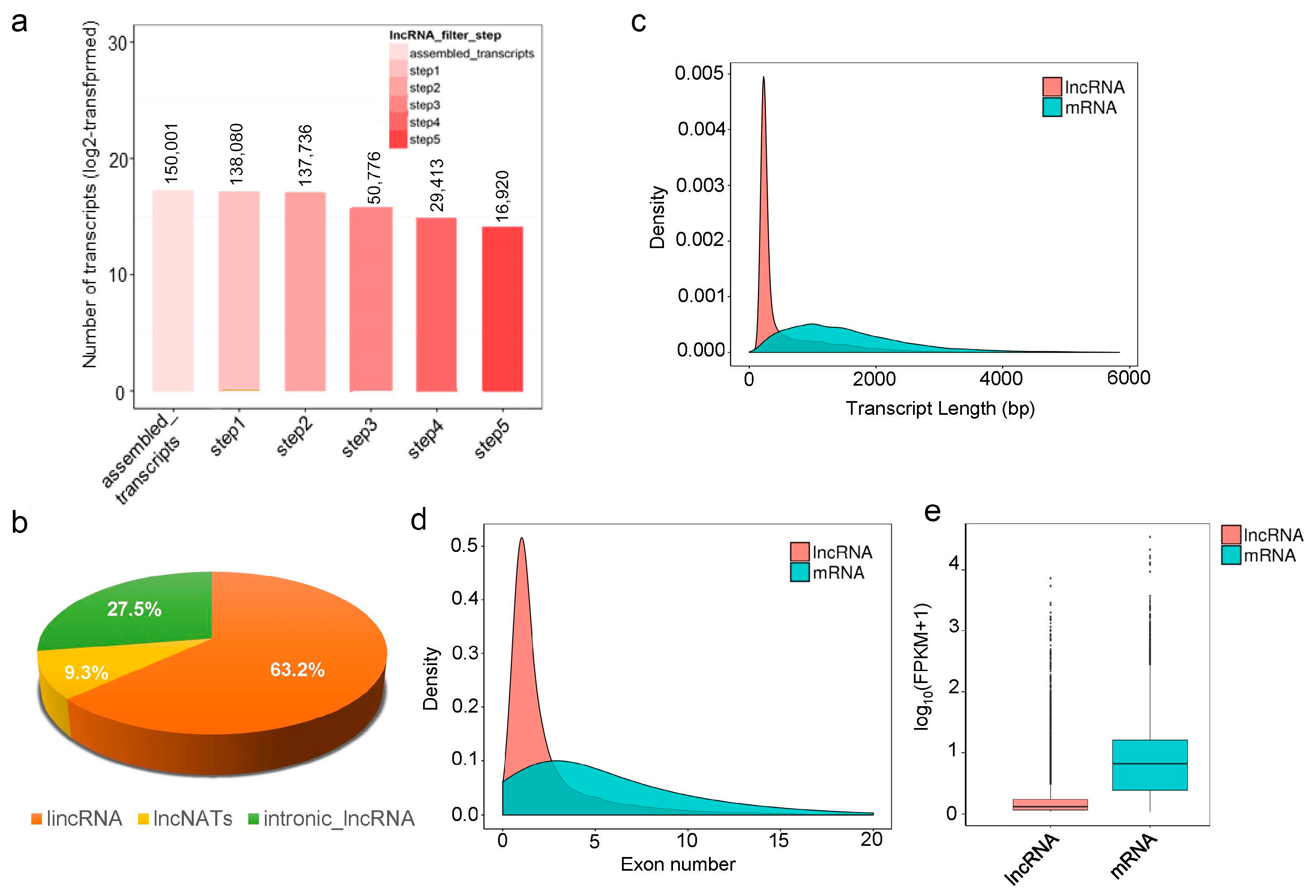 Forests 14 00407 g002 Forests 14 00407 g002