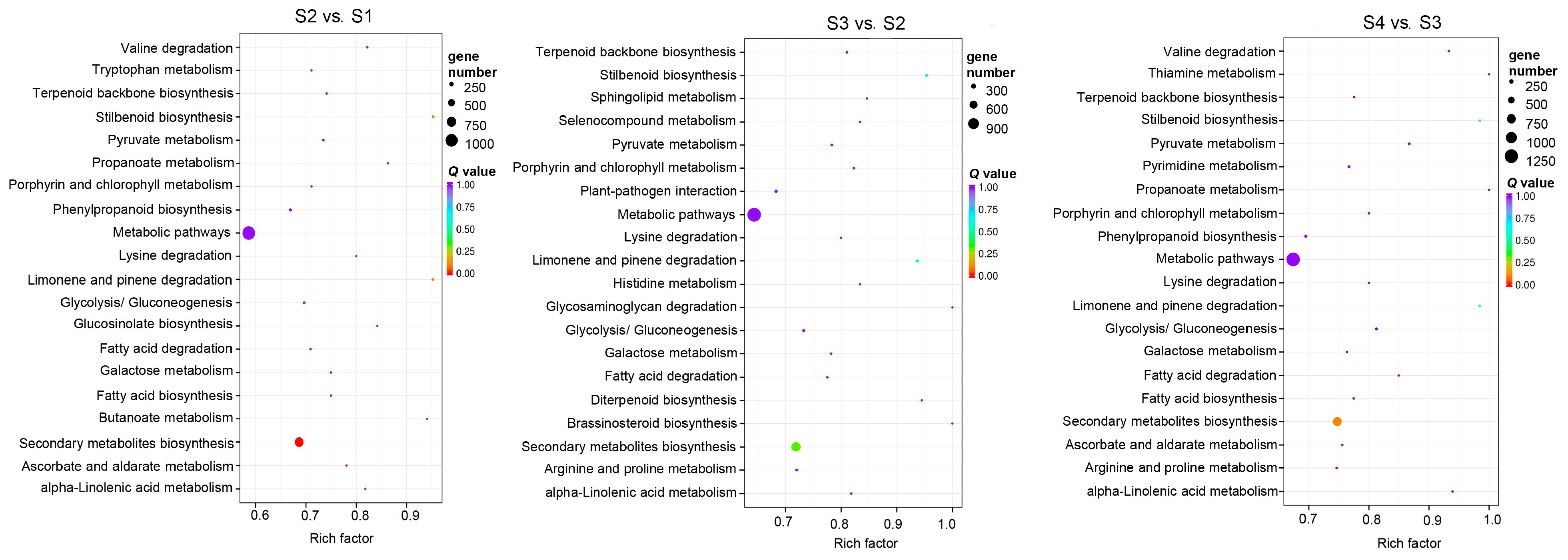 Forests 14 00407 g004 Forests 14 00407 g004