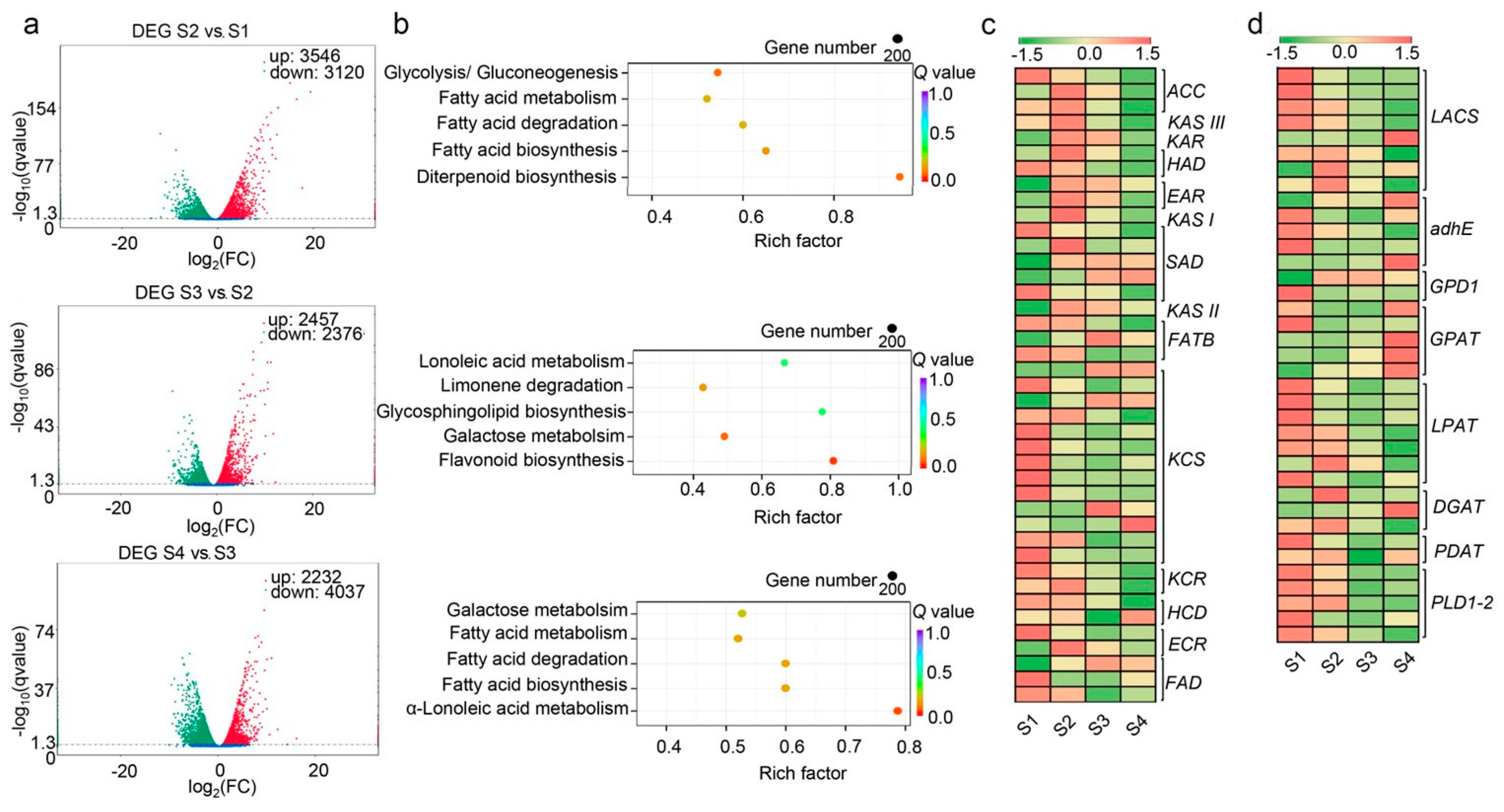 Forests 14 00407 g005 Forests 14 00407 g005