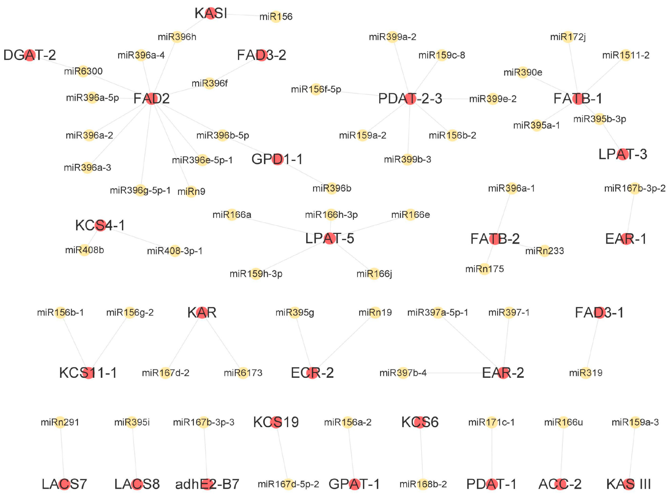 Forests 14 00407 g010 Forests 14 00407 g010