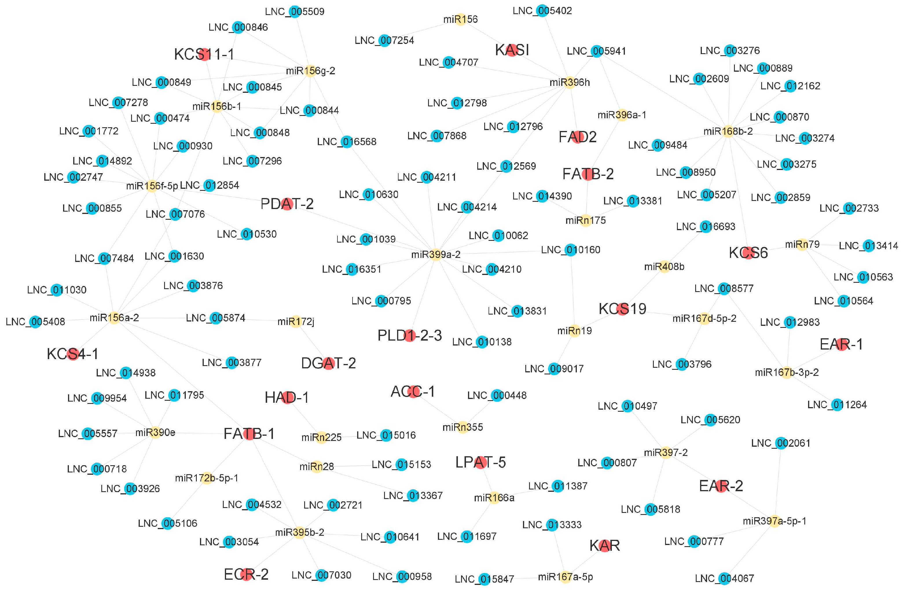 Forests 14 00407 g011 Forests 14 00407 g011